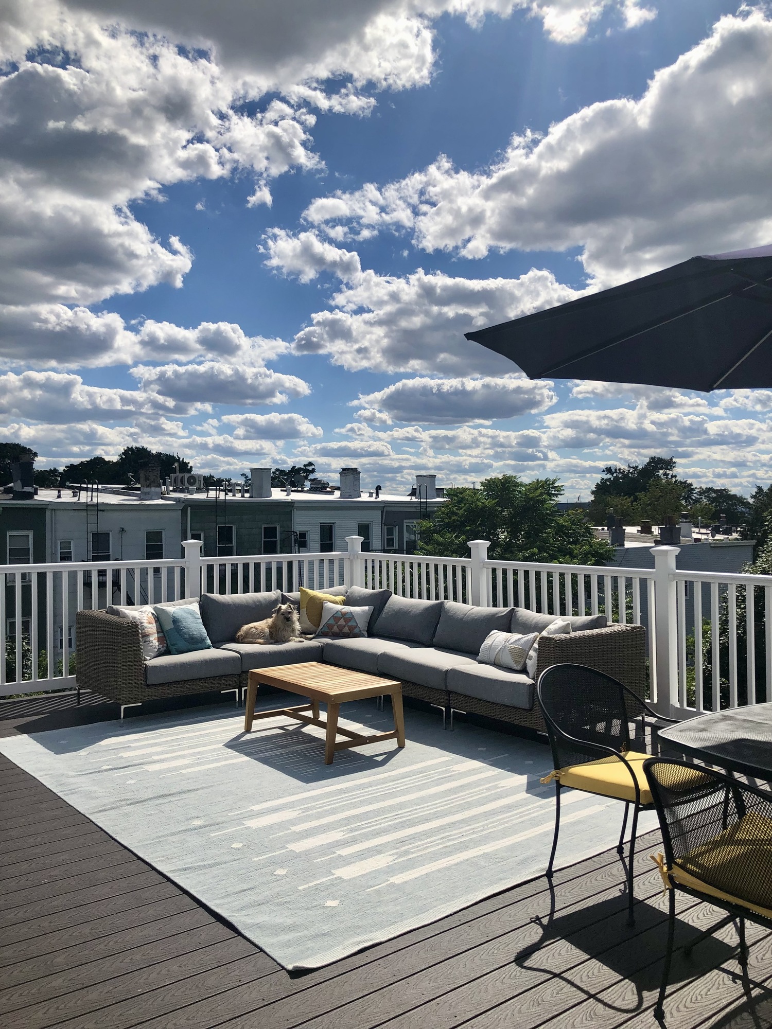 A Fun, Active Couple’s Rooftop Deck with Views of NYC - Photo 6