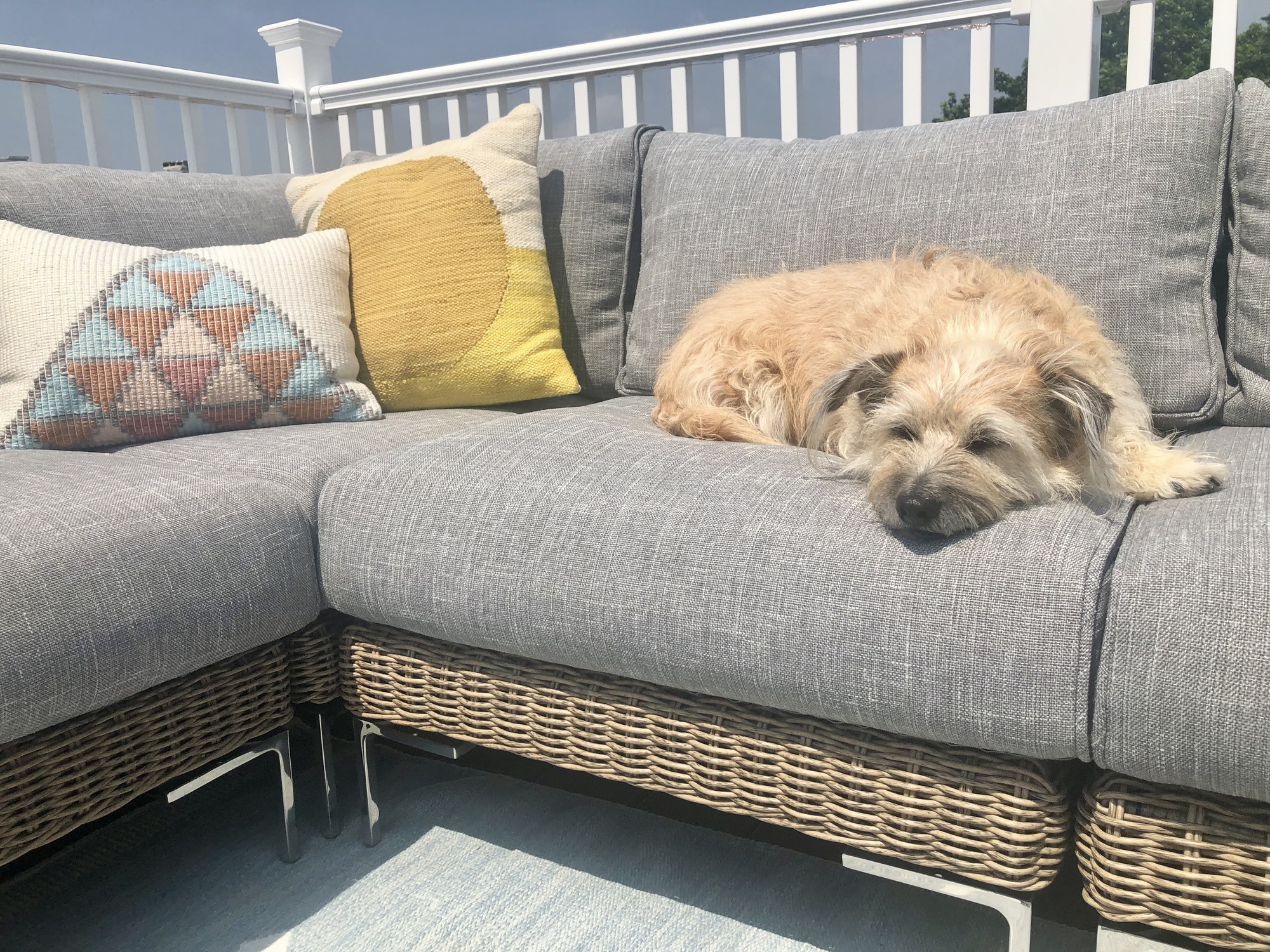 A Fun, Active Couple’s Rooftop Deck with Views of NYC - Photo 7