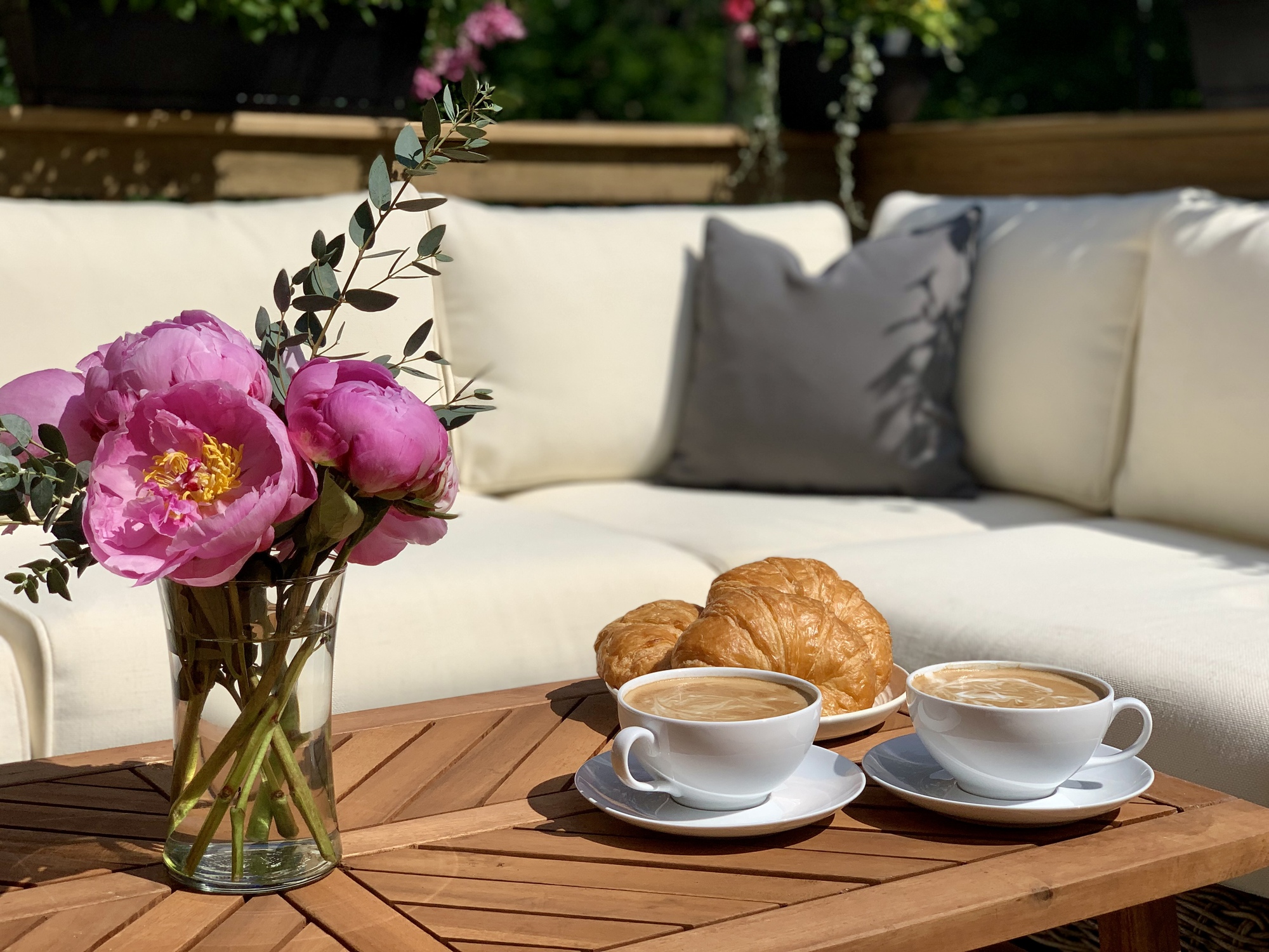 Dog-Friendly Paradise in Bucks County, PA - Photo 5