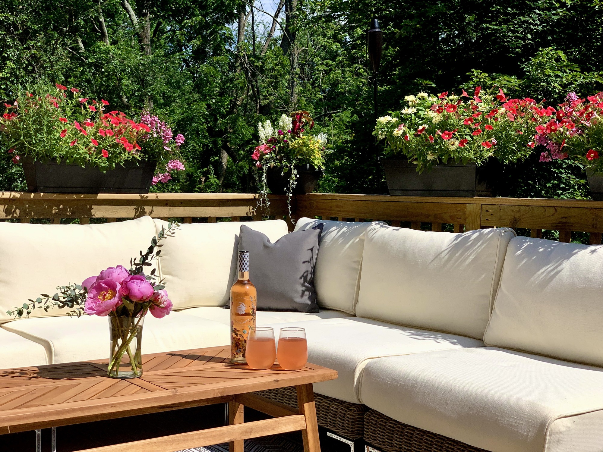 Dog-Friendly Paradise in Bucks County, PA - Photo 9