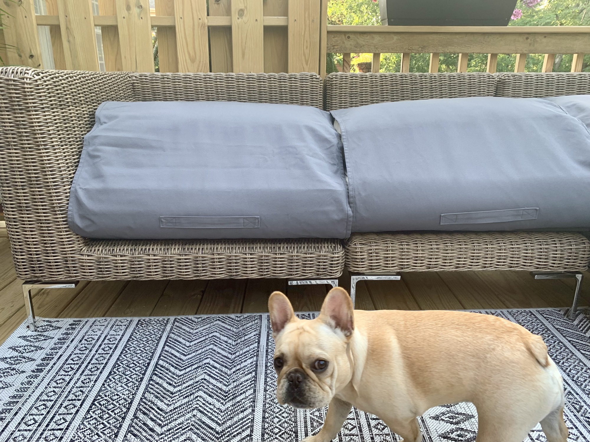 Dog-Friendly Paradise in Bucks County, PA - Photo 11