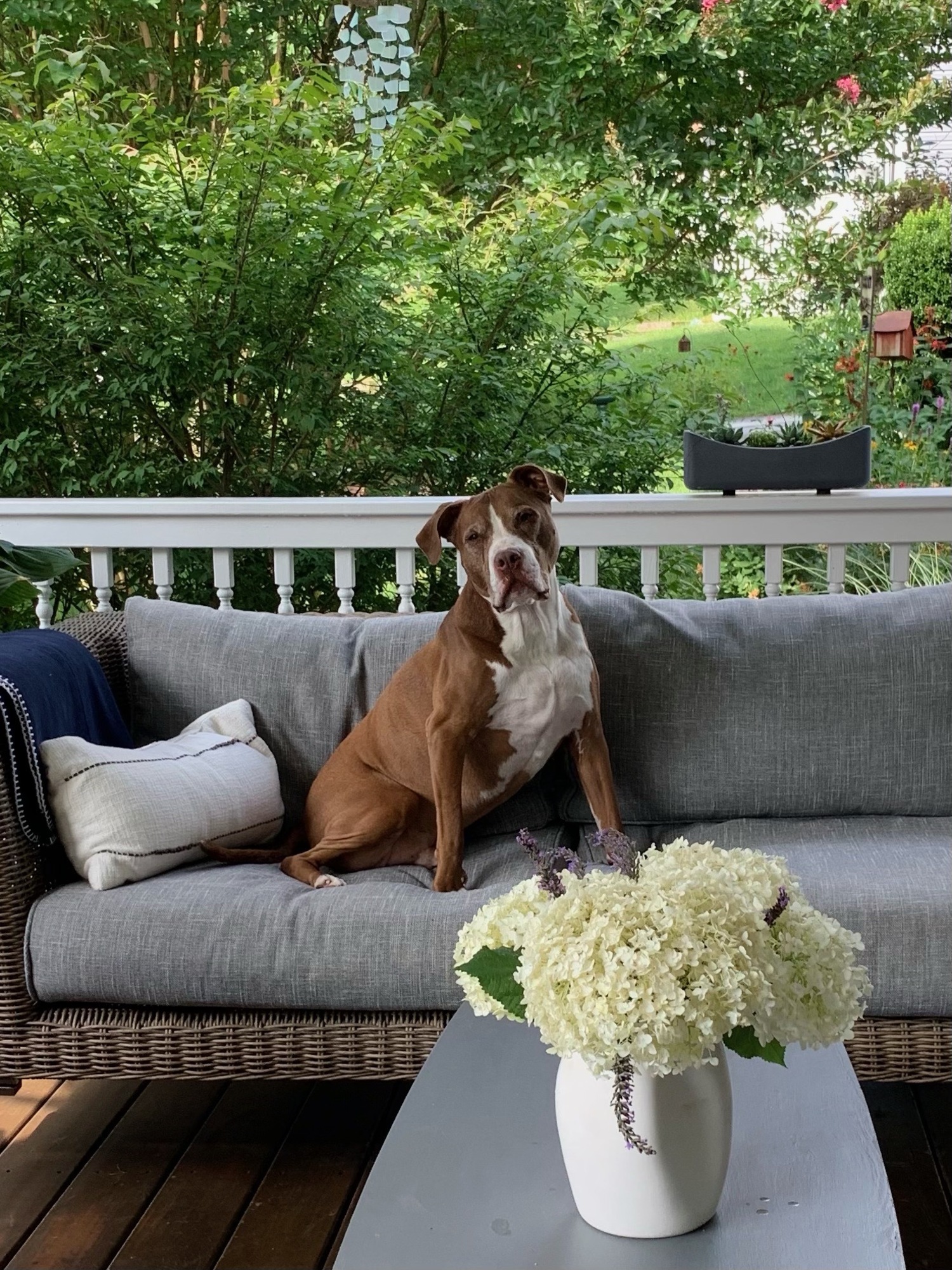 An Inviting Covered Front Porch in Wayne, PA - Photo 6
