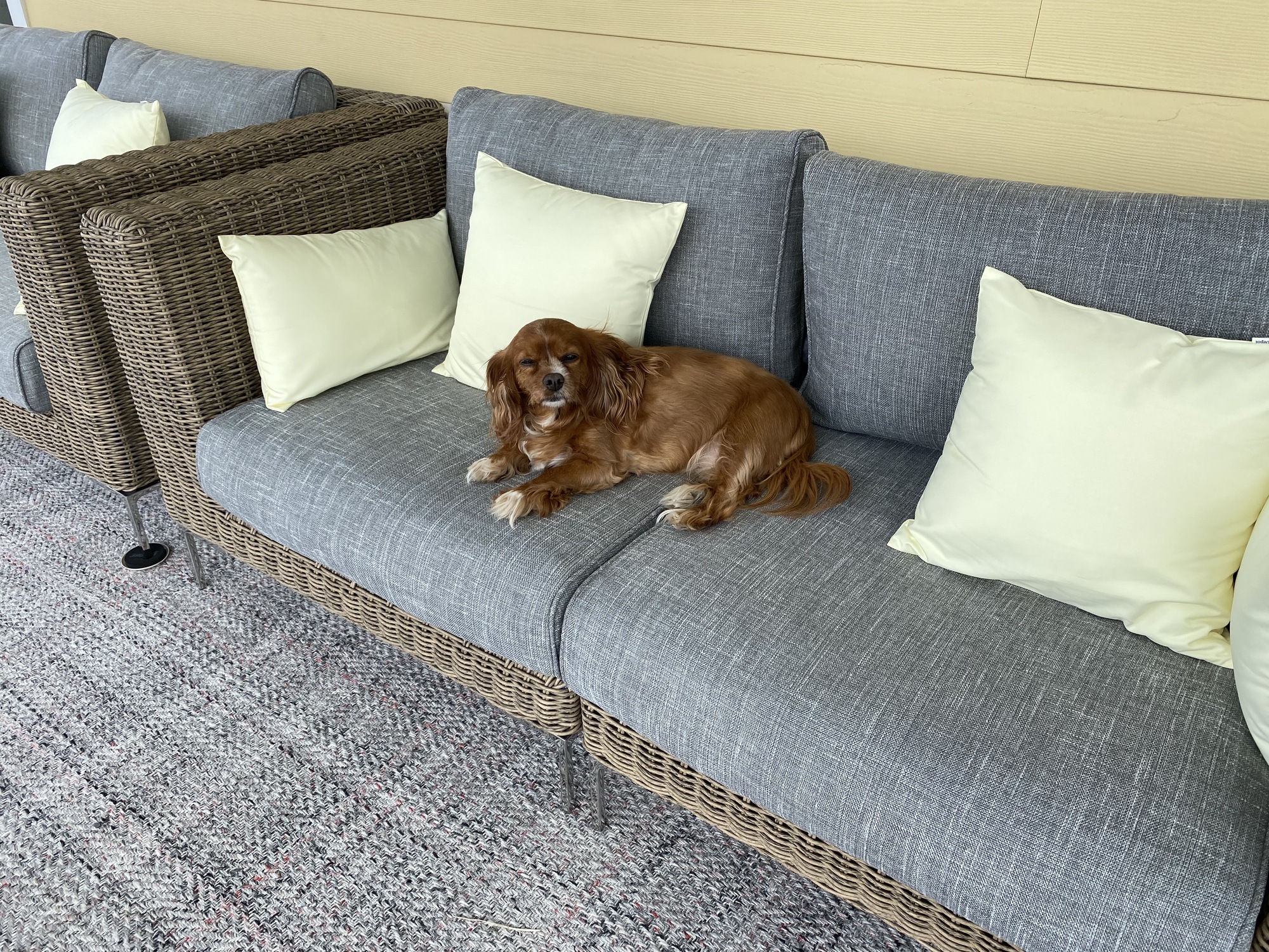 Beachy Retreat in the Jersey Shore - Photo 7