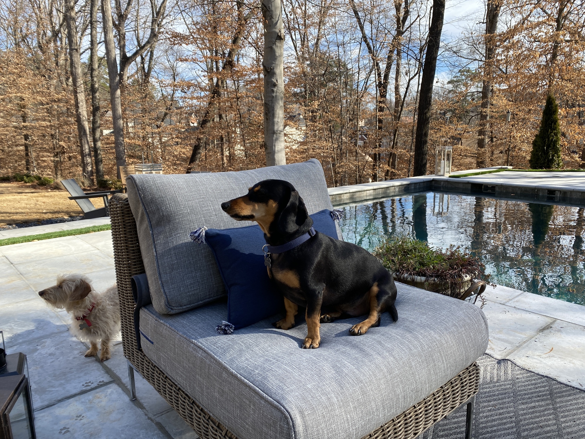 Bountiful Backyard in Smyrna, GA - Photo 6