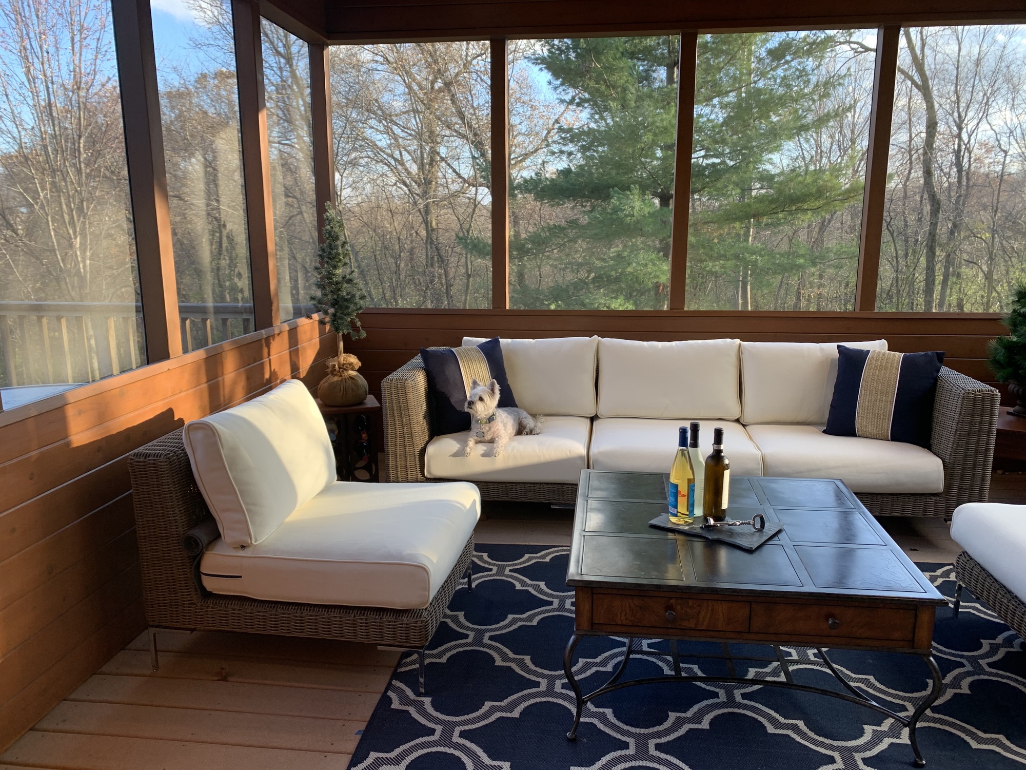 Rustic Screened Porch in Rochester, Minnesota - Photo 4