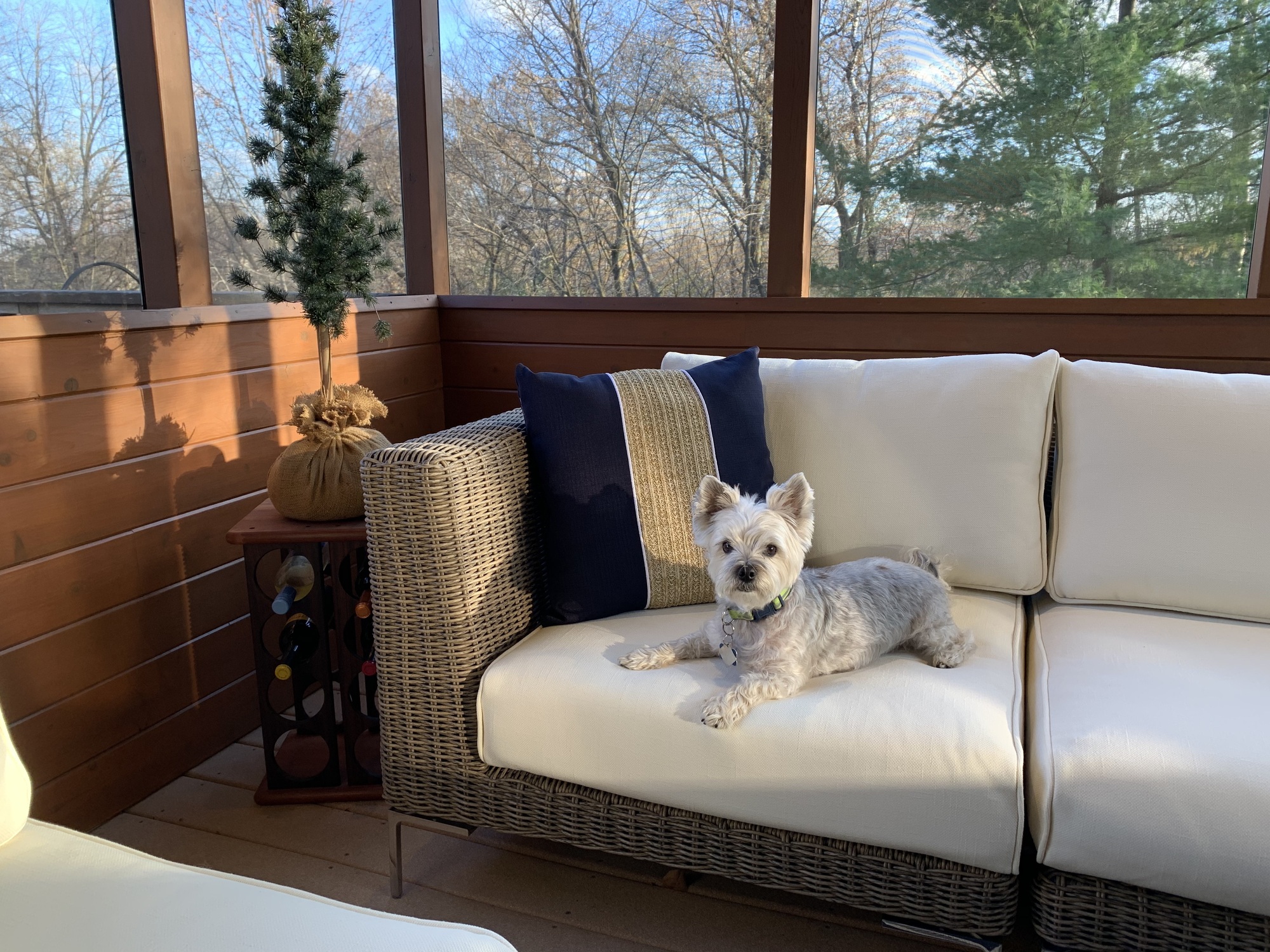 Rustic Screened Porch in Rochester, Minnesota - Photo 5
