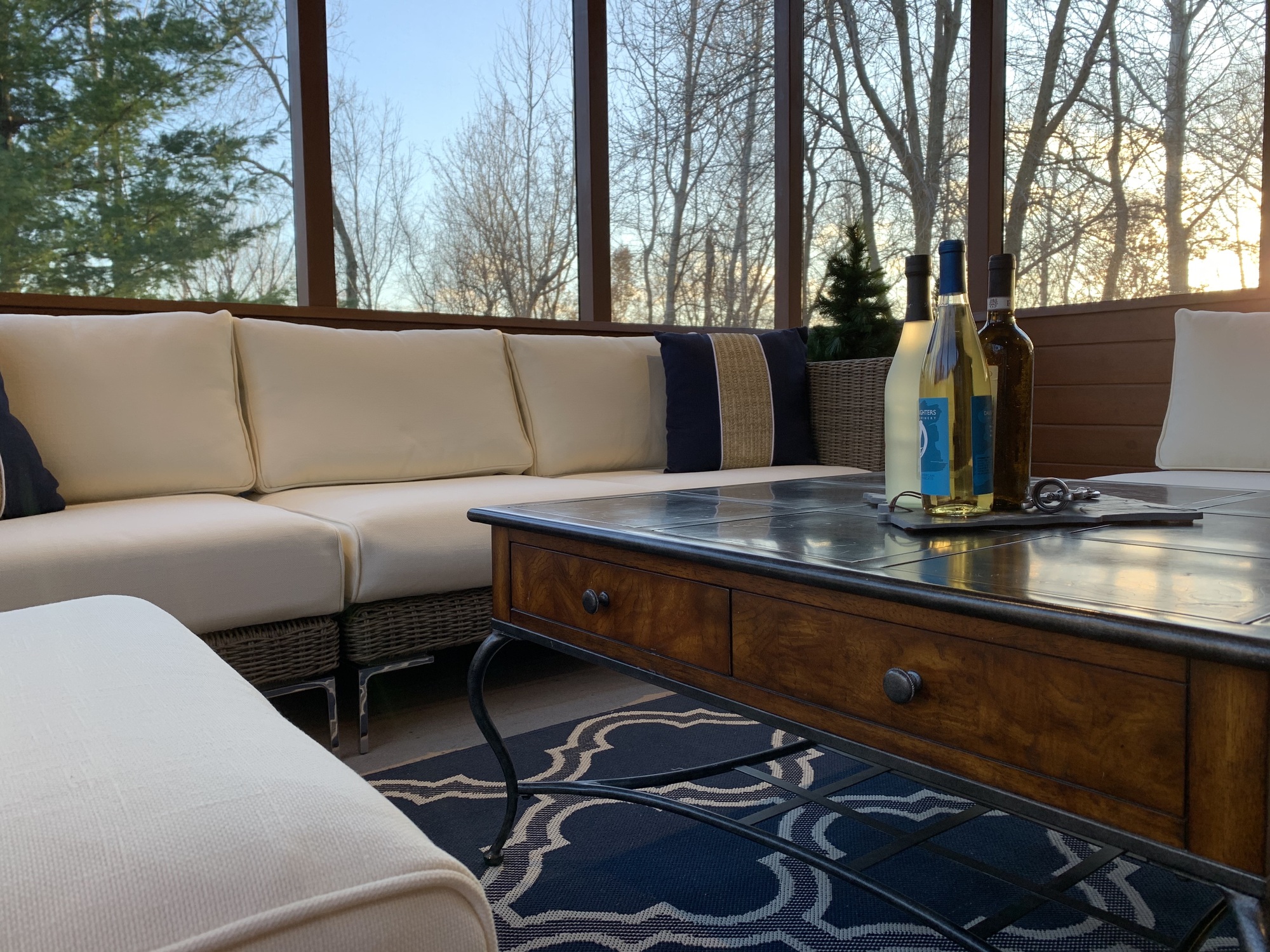 Rustic Screened Porch in Rochester, Minnesota - Photo 8