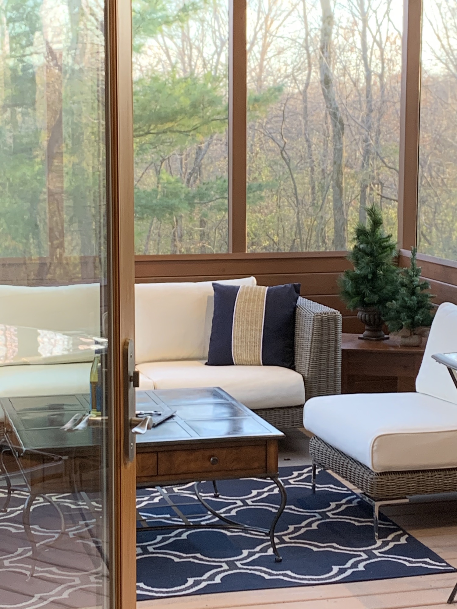 Rustic Screened Porch in Rochester, Minnesota - Photo 11