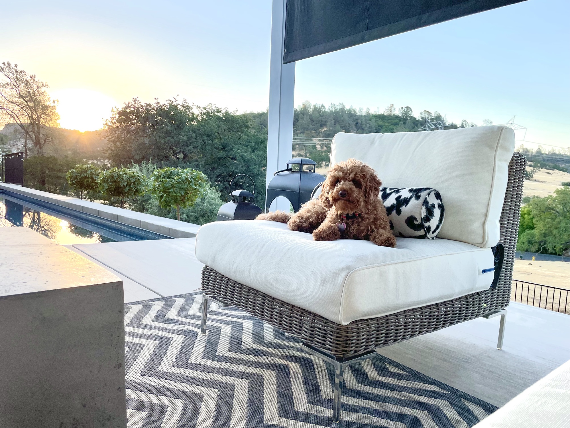 Poolside Paradise in Chico, CA - Photo 6