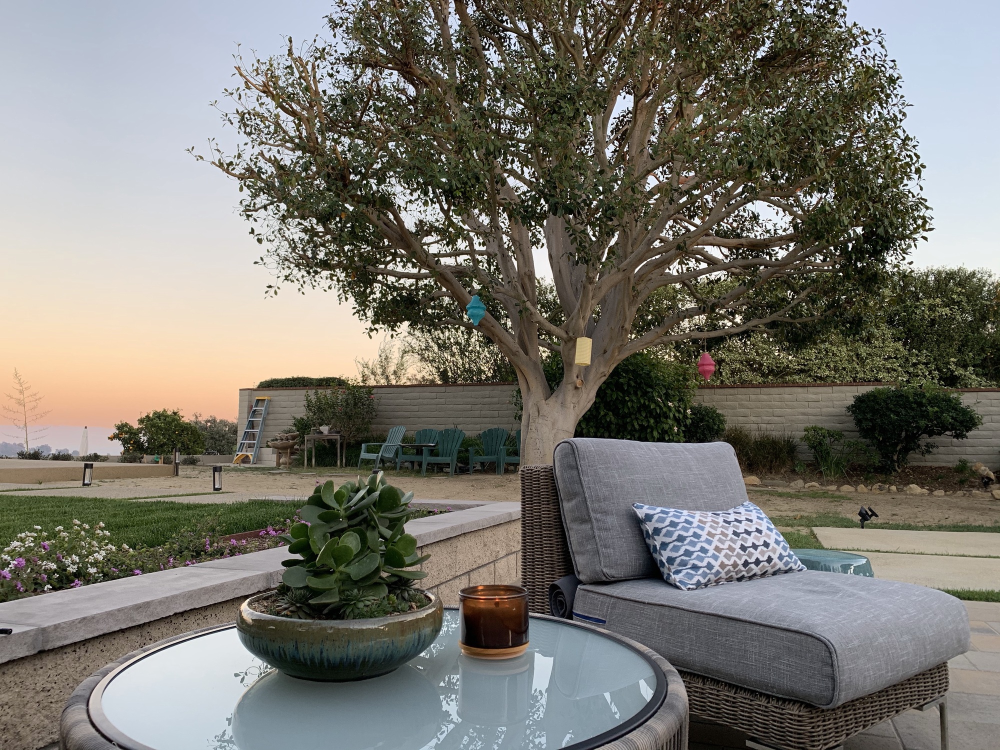 Natural Retreat in Laguna Niguel - Photo 6