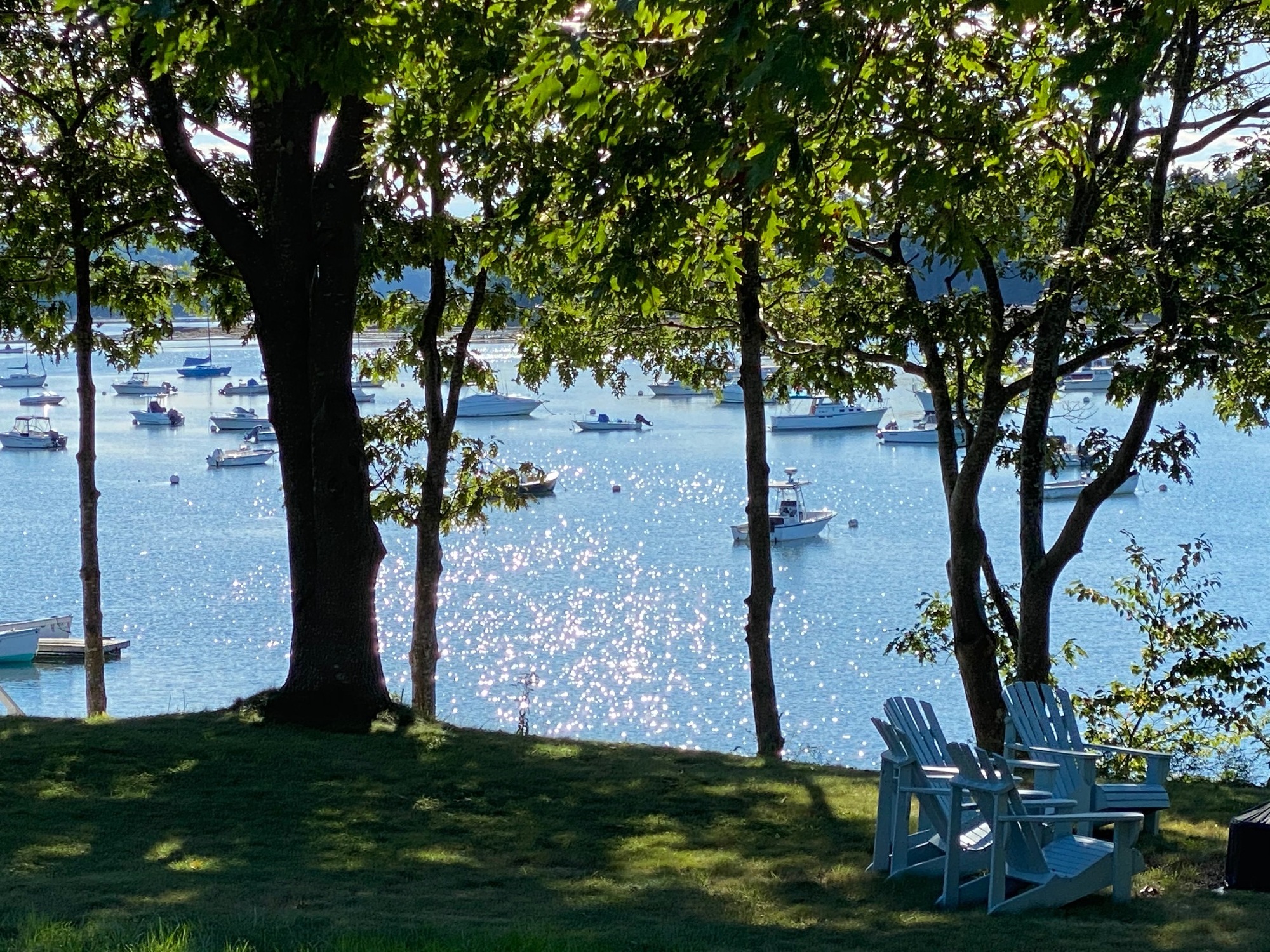 A Sensory Experience on a Bluestone Patio Overlooking Casco Bay - Photo 5
