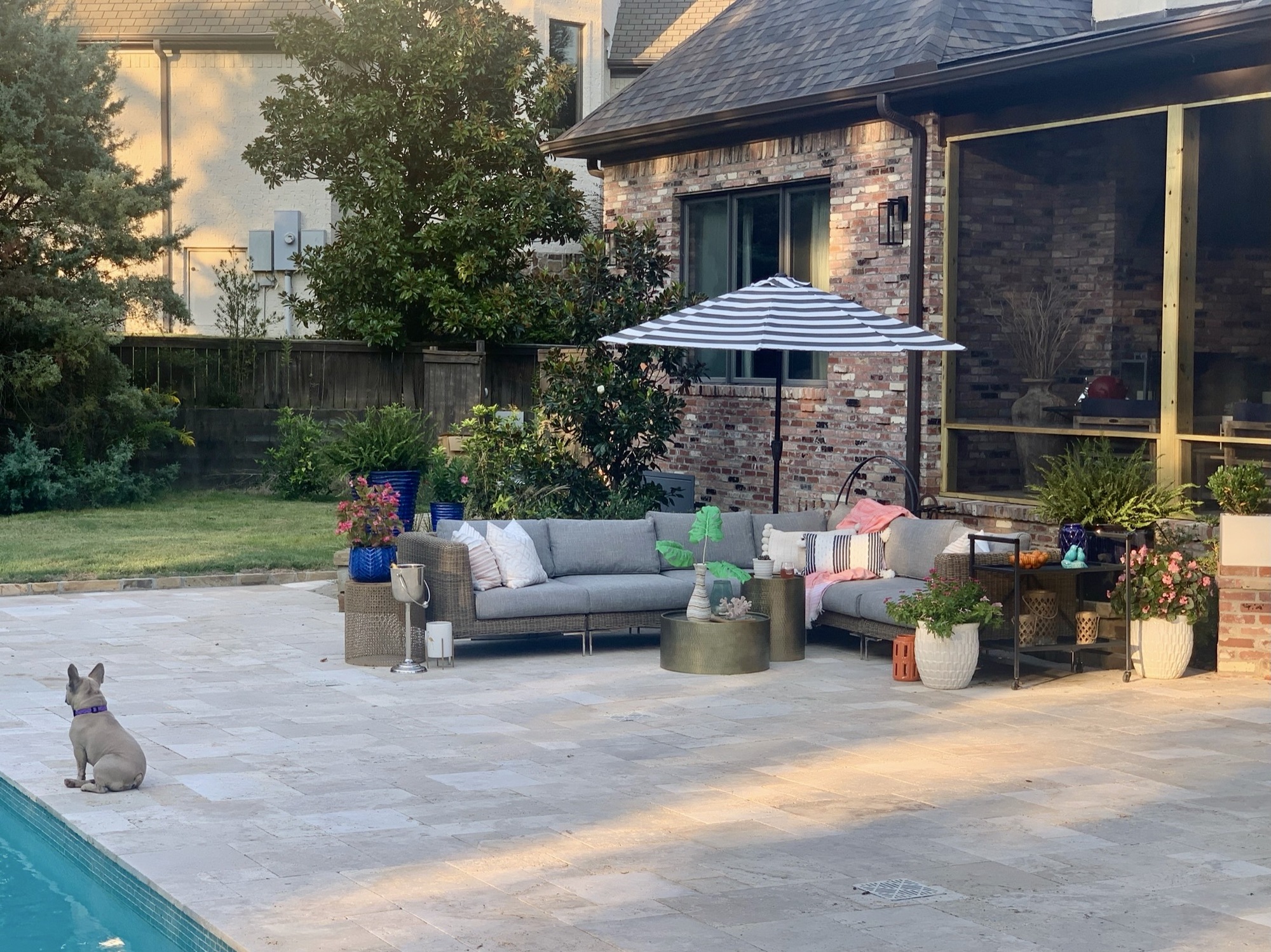 An Olympic Diver’s Dream Backyard - Photo 3