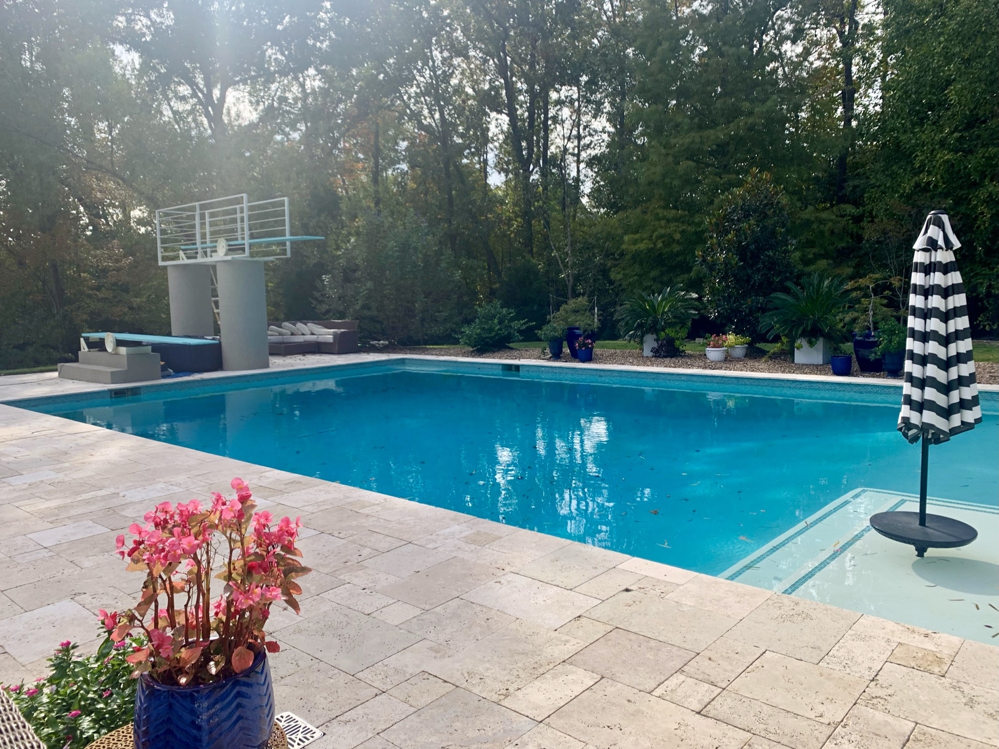 An Olympic Diver’s Dream Backyard - Photo 7