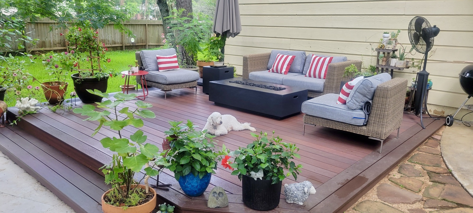 An Environmental Lawyer and Jeweler’s Lush Texas Retreat - Photo 1