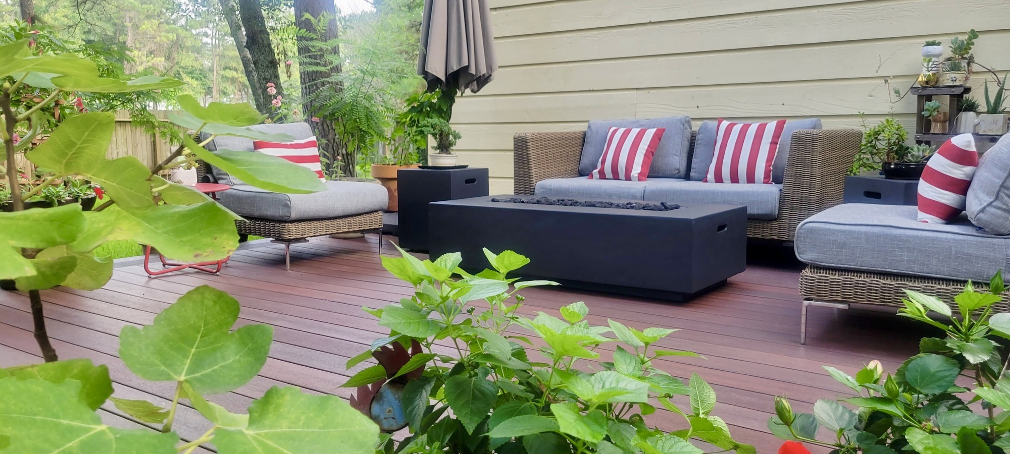 An Environmental Lawyer and Jeweler’s Lush Texas Retreat - Photo 3