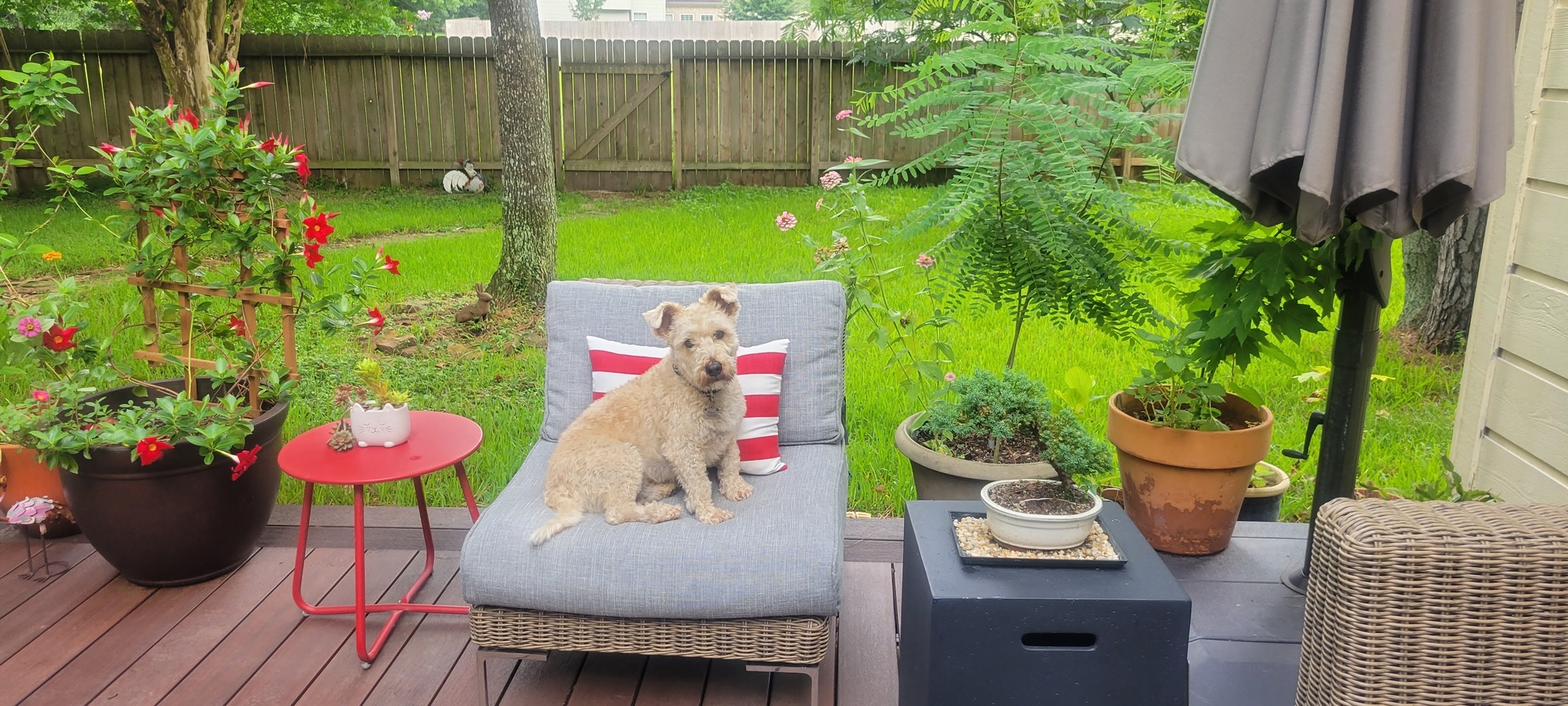 An Environmental Lawyer and Jeweler’s Lush Texas Retreat - Photo 4