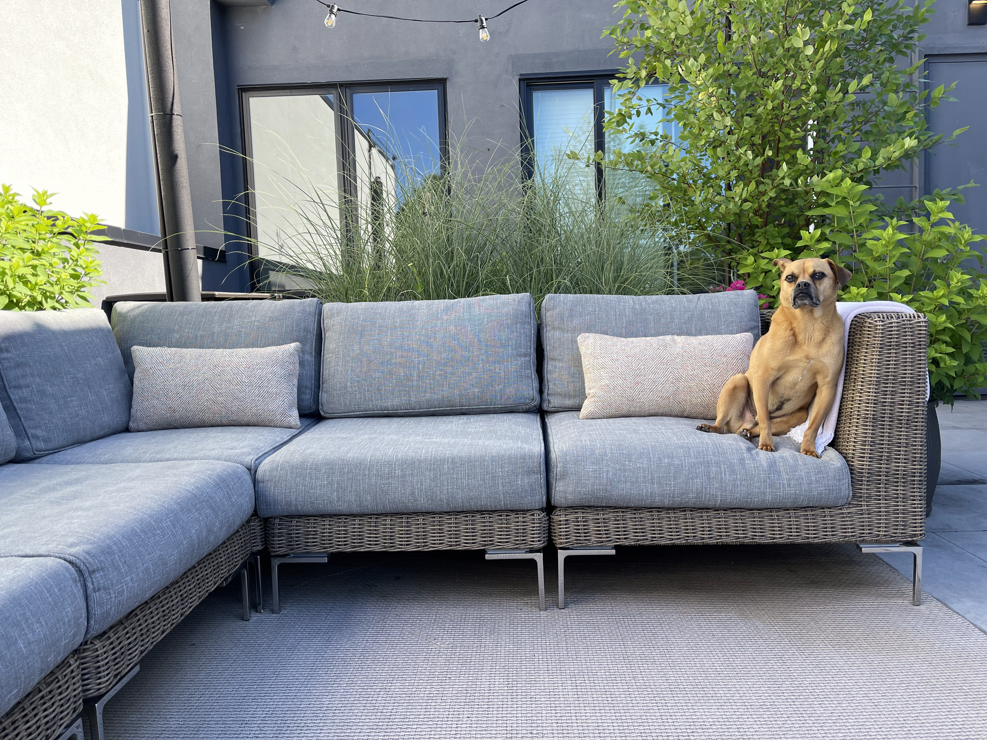 A Private Rooftop Terrace in Brooklyn - Photo 4