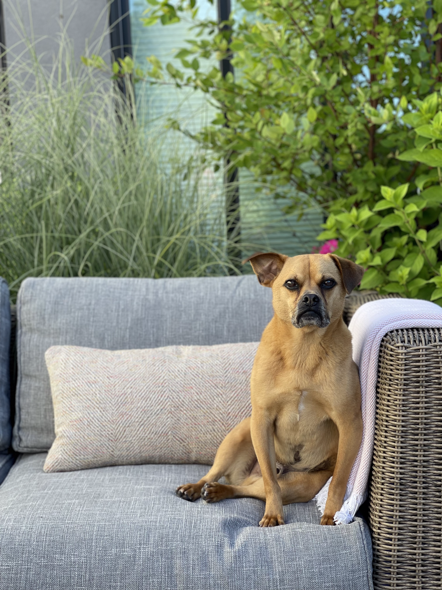 A Private Rooftop Terrace in Brooklyn - Photo 8