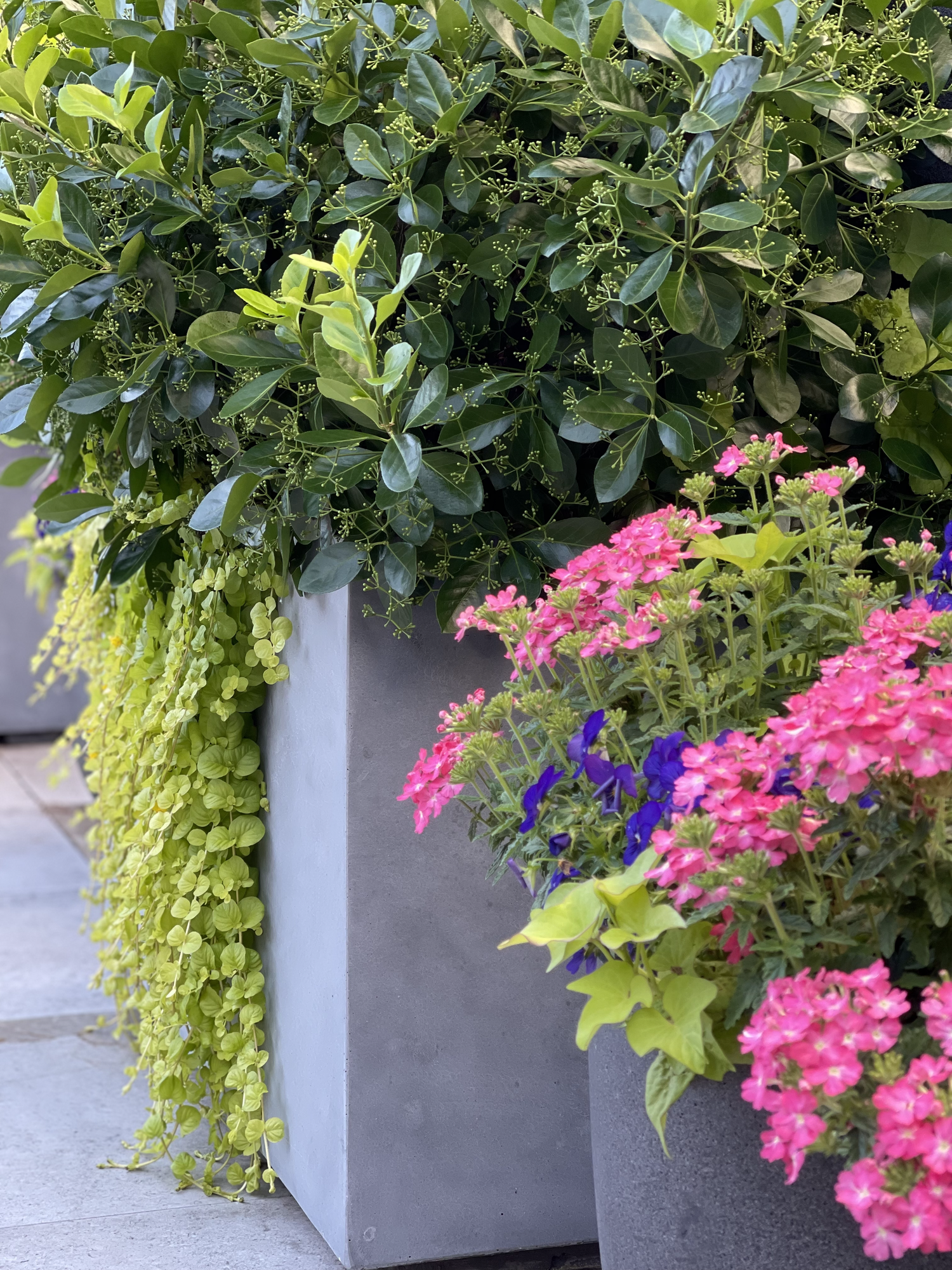 A Private Rooftop Terrace in Brooklyn - Photo 9