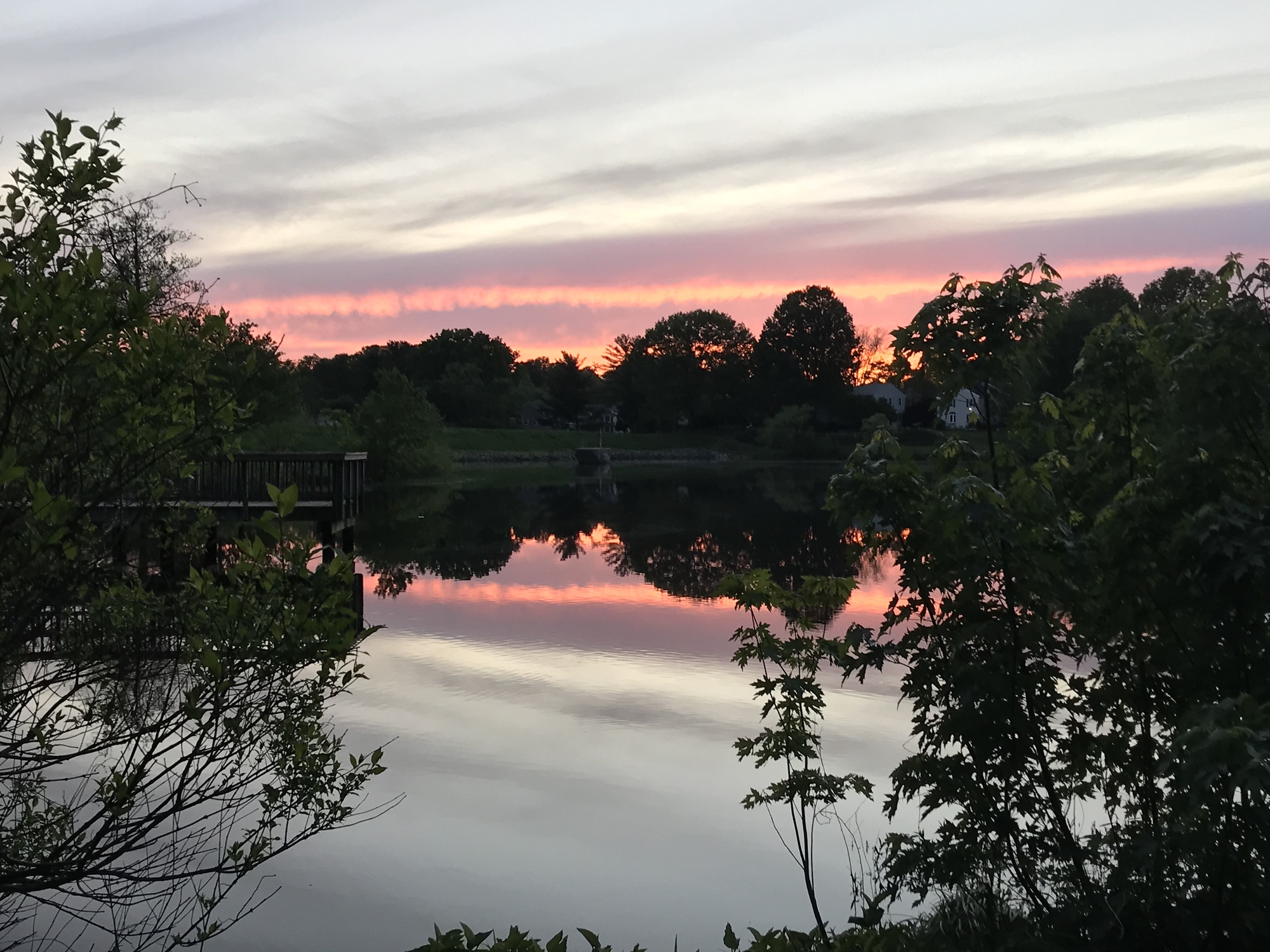 Hidden Oasis Near Washington, D.C. - Photo 5