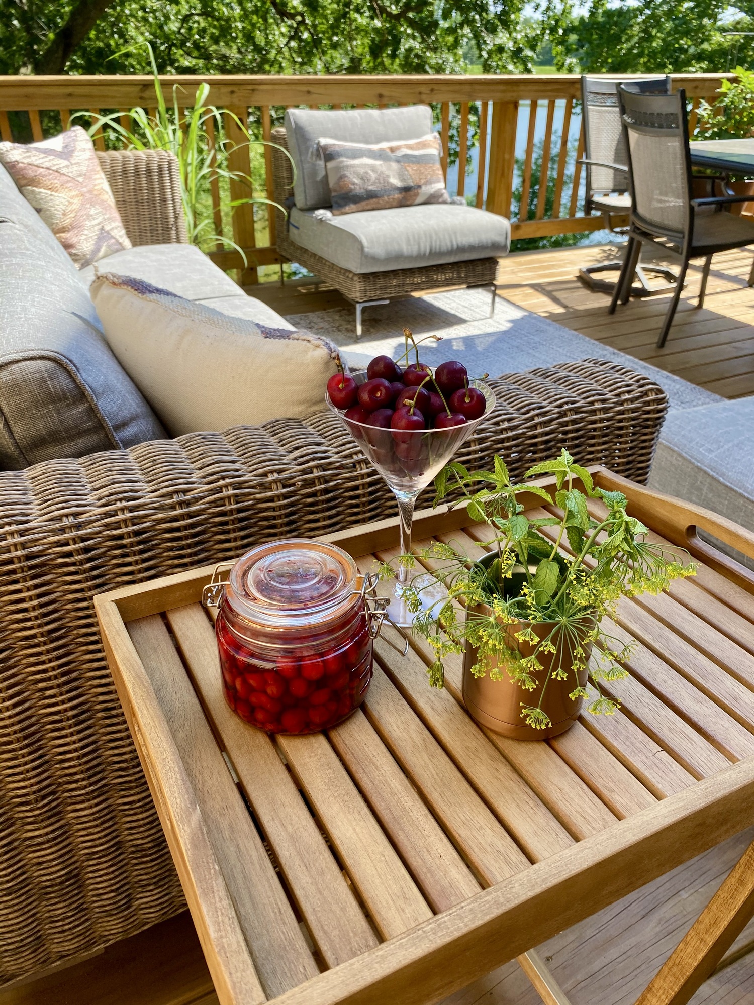 Hidden Oasis Near Washington, D.C. - Photo 6