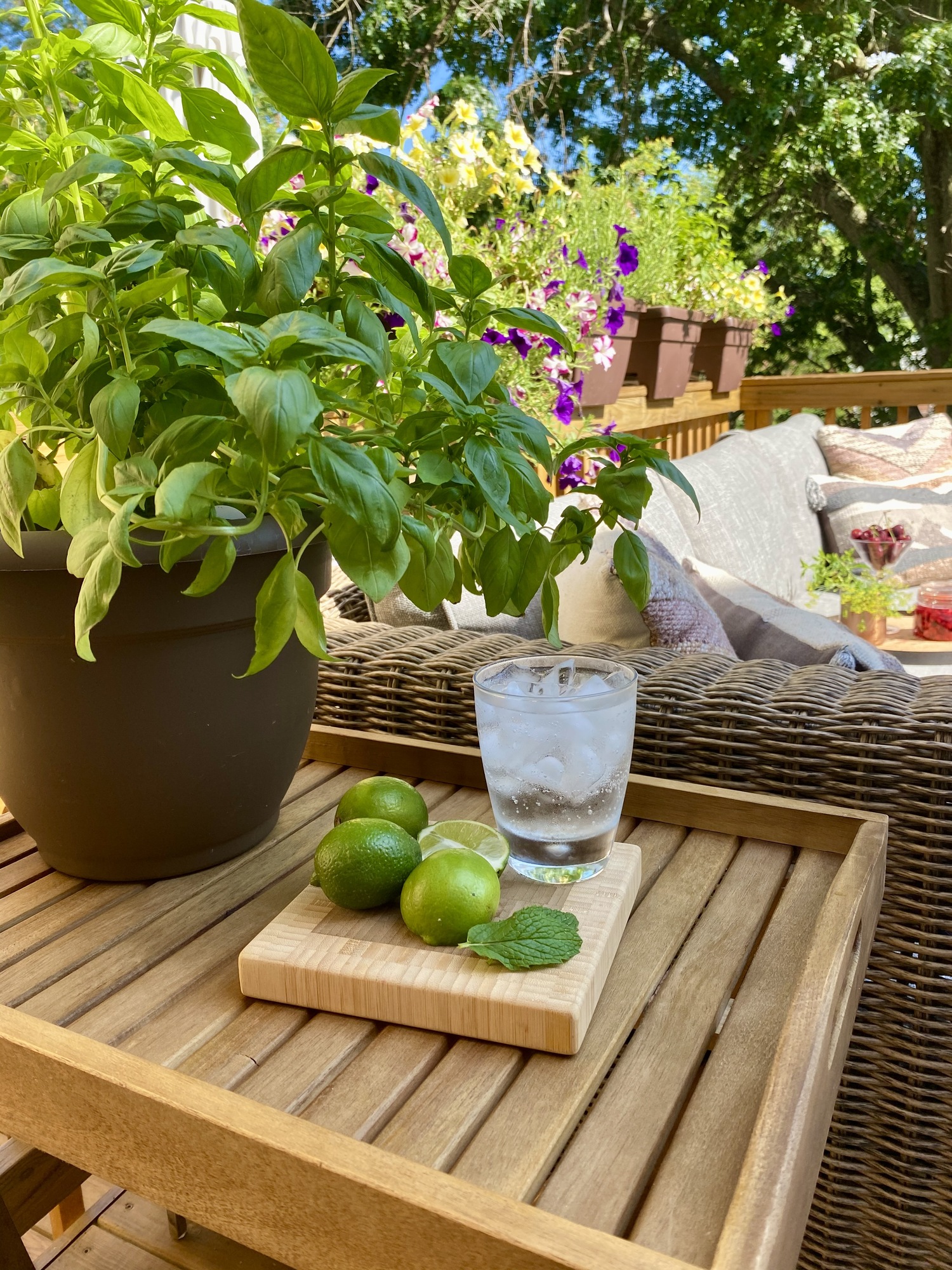 Hidden Oasis Near Washington, D.C. - Photo 7