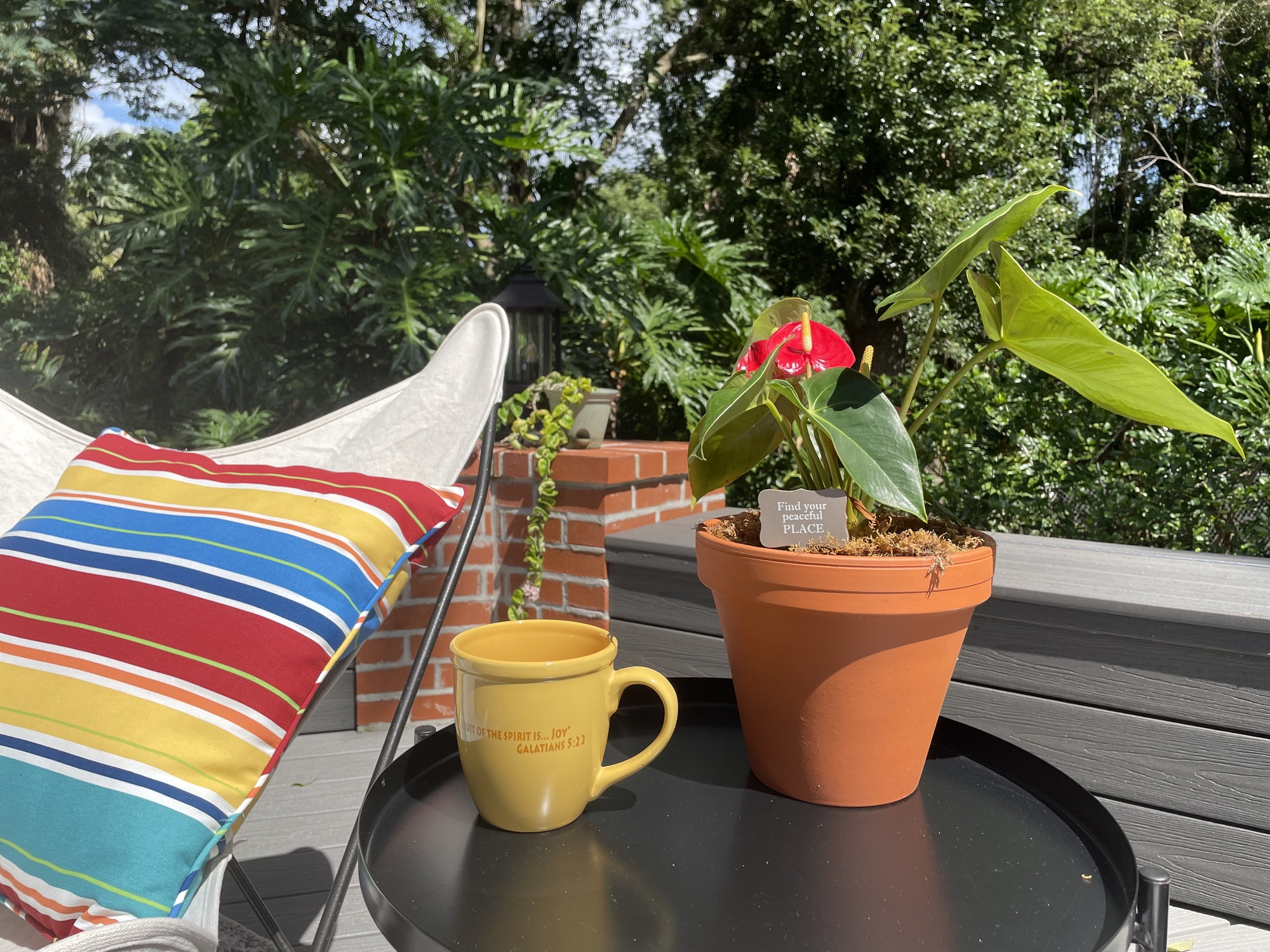 Tropical Oasis in Orlando - Photo 12