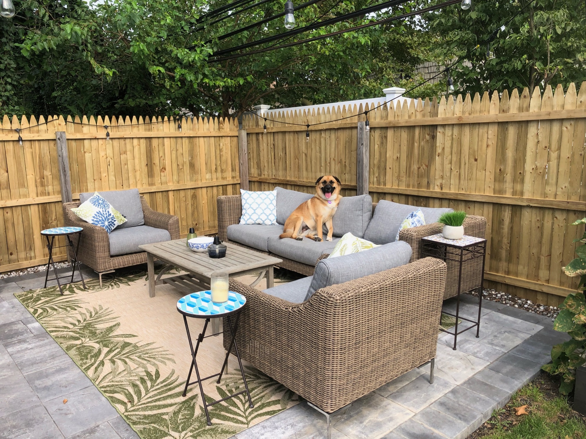 Outdoor Serenity in Long Island - Photo 4