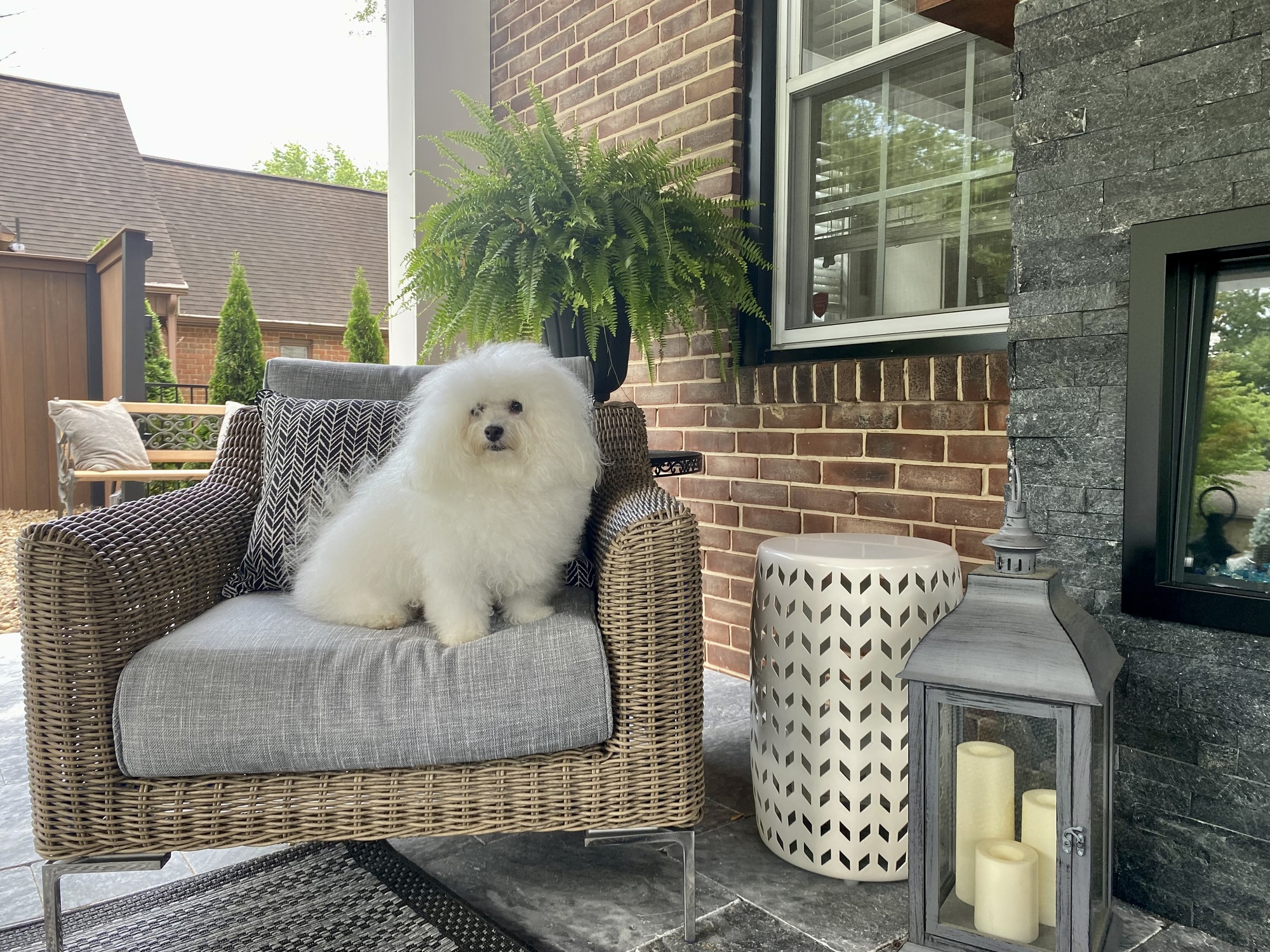 A Modern Patio Built for All-Day Living - Photo 6