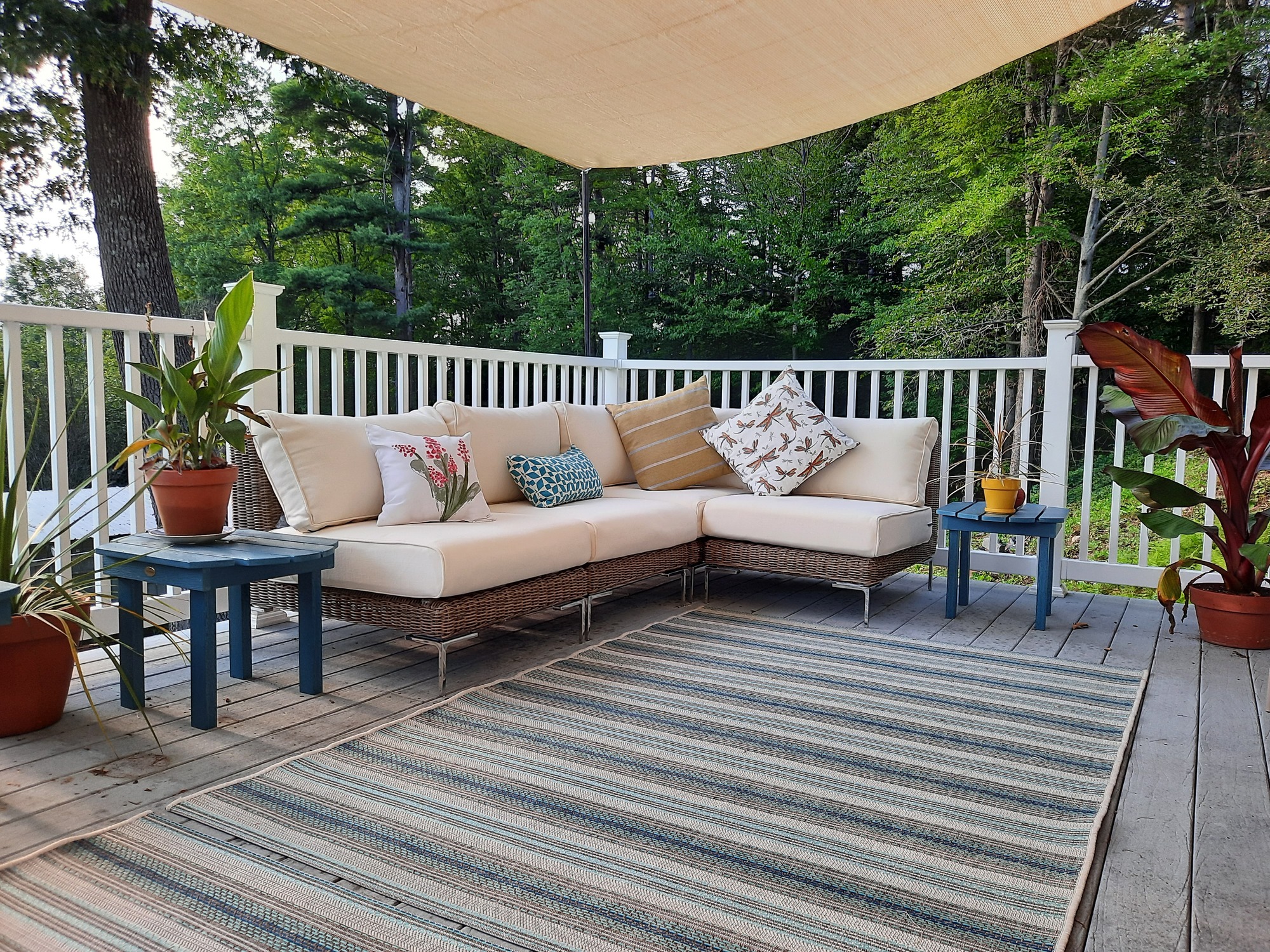 A Physical Therapist’s Healing Homestead in Rural MA - Photo 1