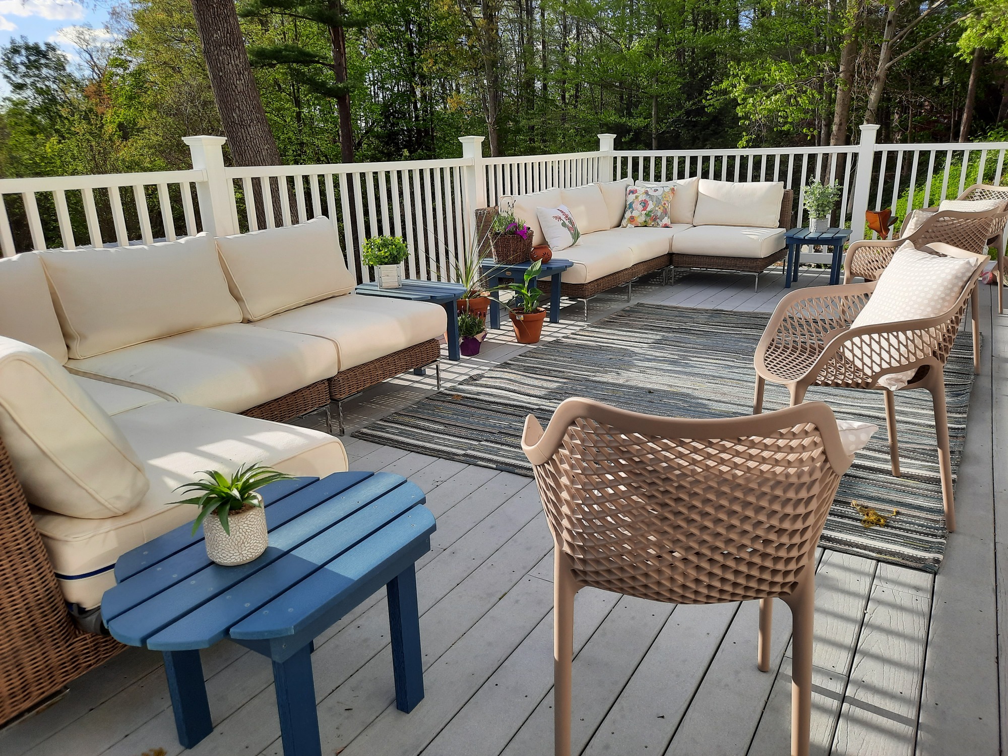 A Physical Therapist’s Healing Homestead in Rural MA - Photo 4