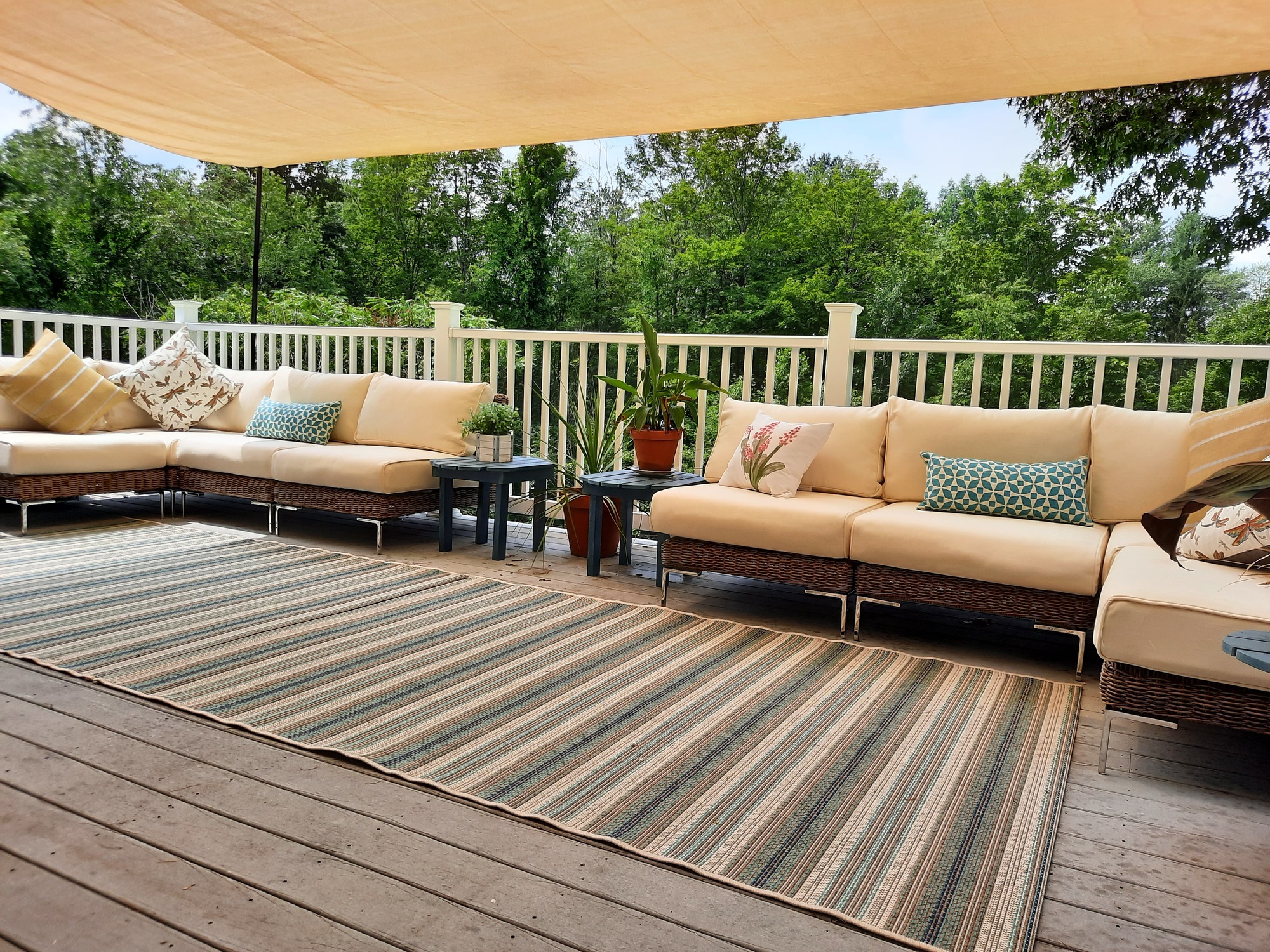 A Physical Therapist’s Healing Homestead in Rural MA - Photo 5