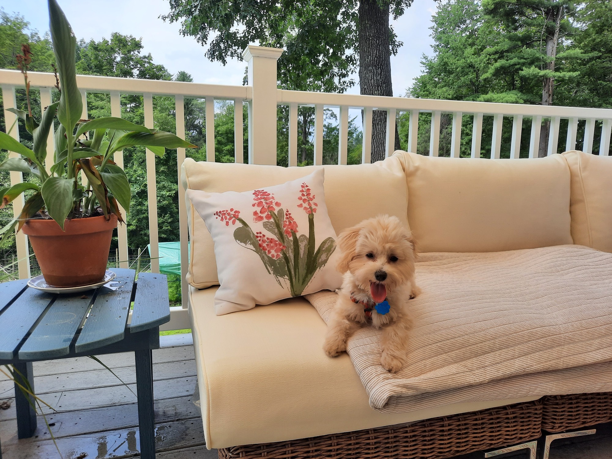A Physical Therapist’s Healing Homestead in Rural MA - Photo 6
