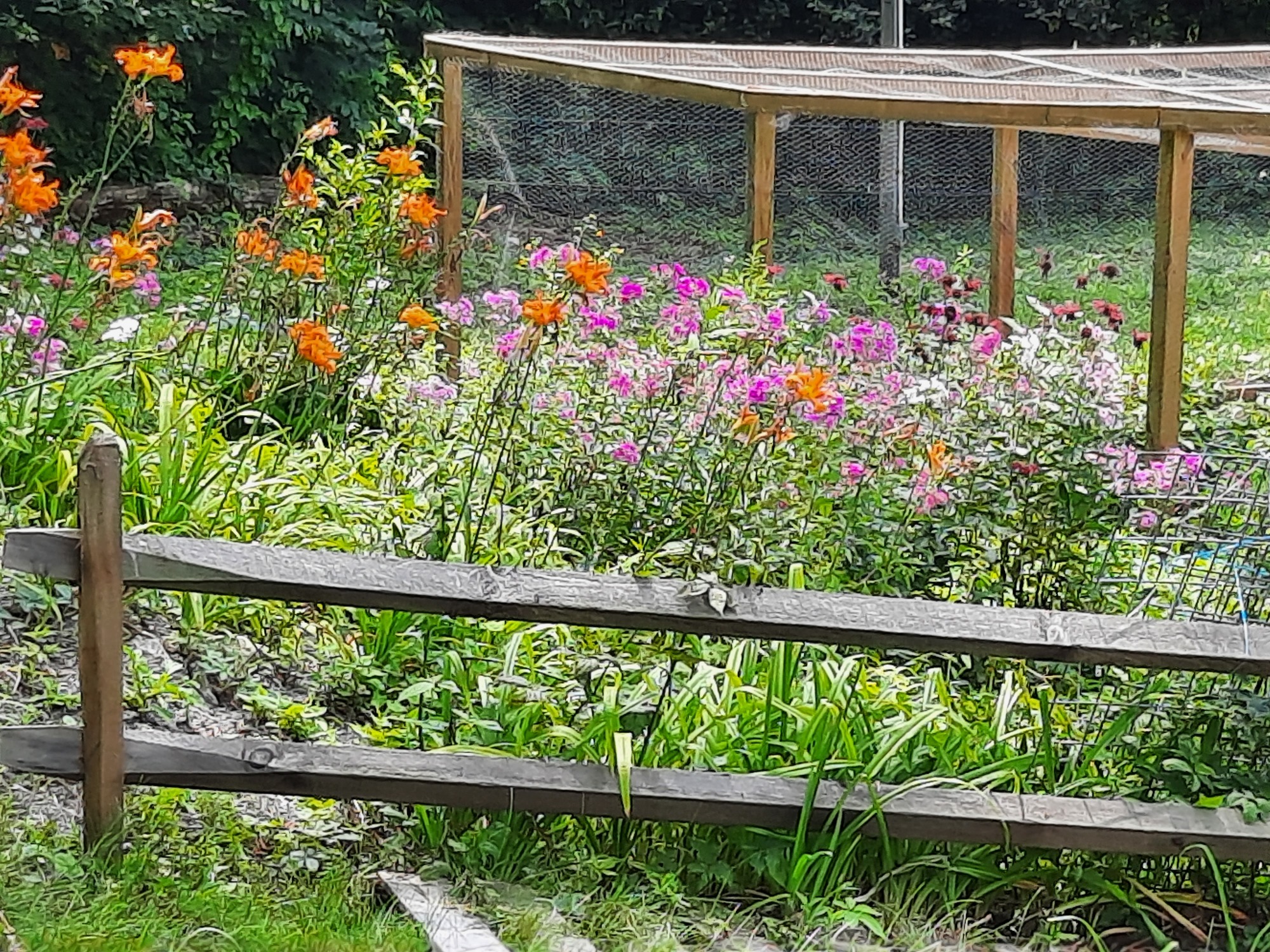 A Physical Therapist’s Healing Homestead in Rural MA - Photo 8