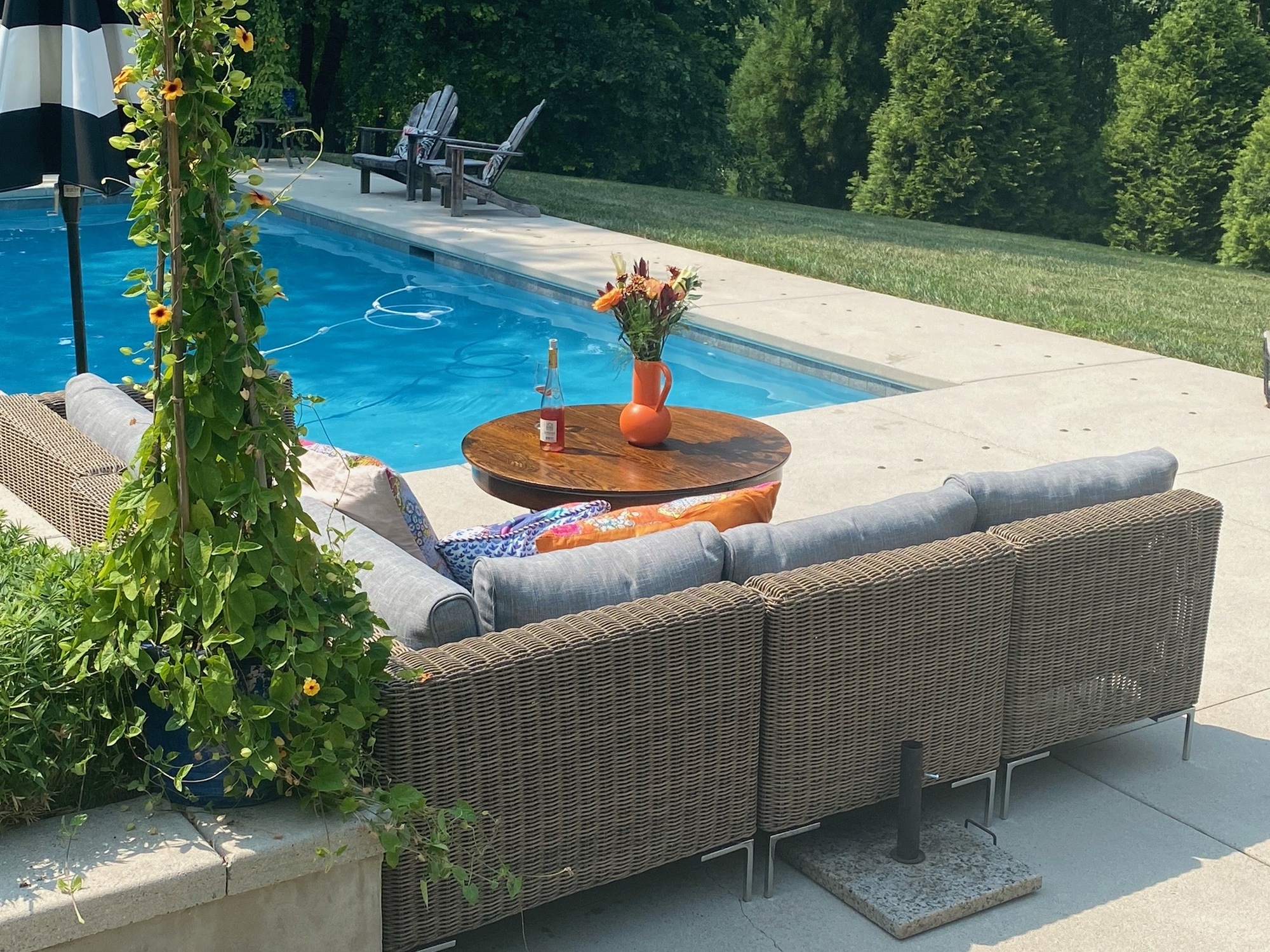 Lush Wooded Backyard with In-Ground Pool - Photo 5