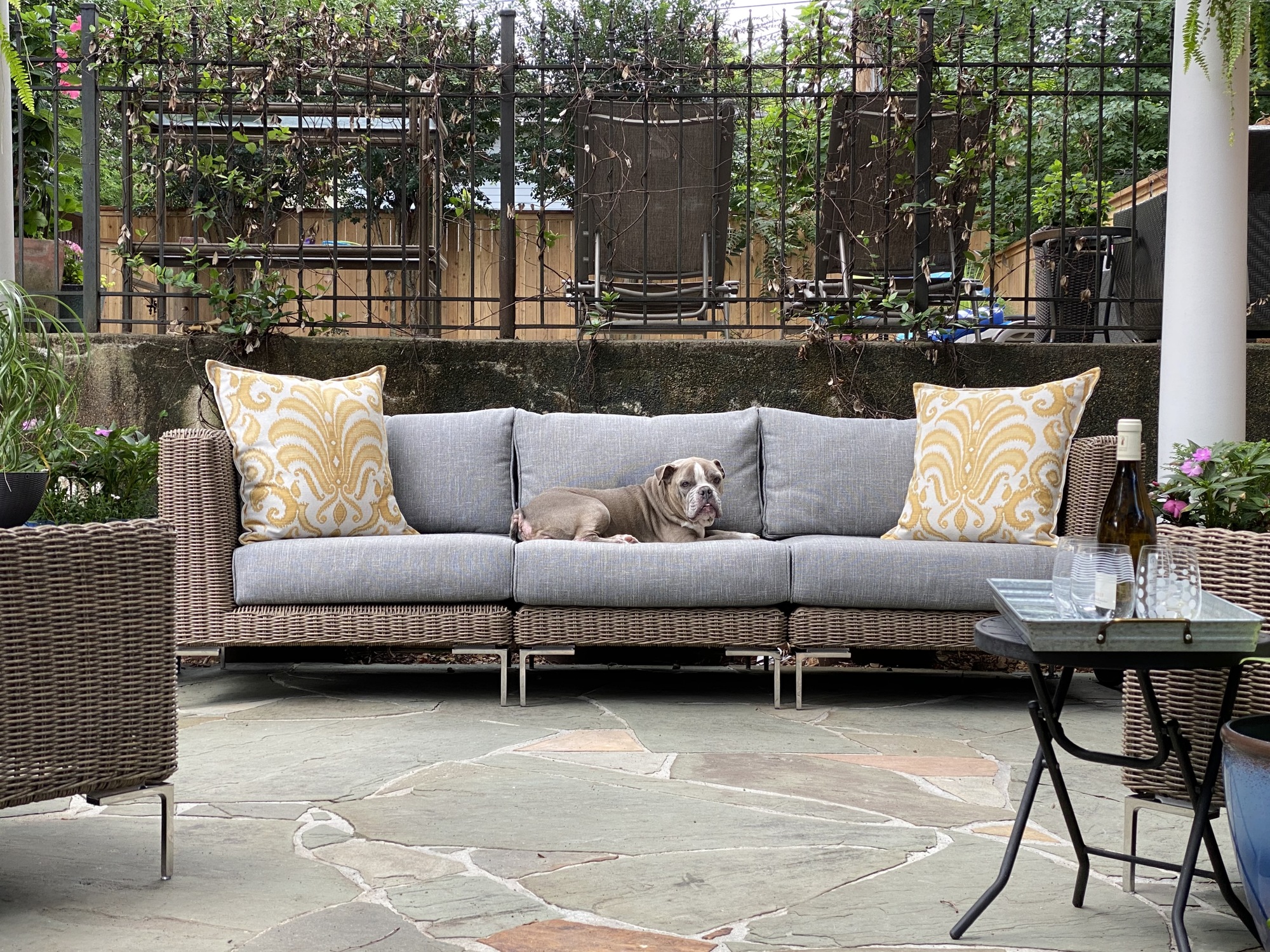 An Animal-Friendly Shaded Patio in Memphis, TN - Photo 1