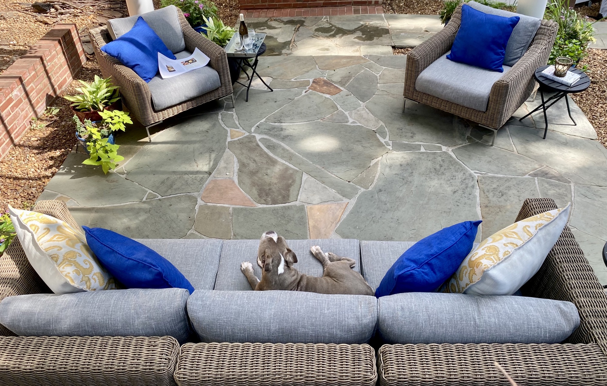 An Animal-Friendly Shaded Patio in Memphis, TN - Photo 2