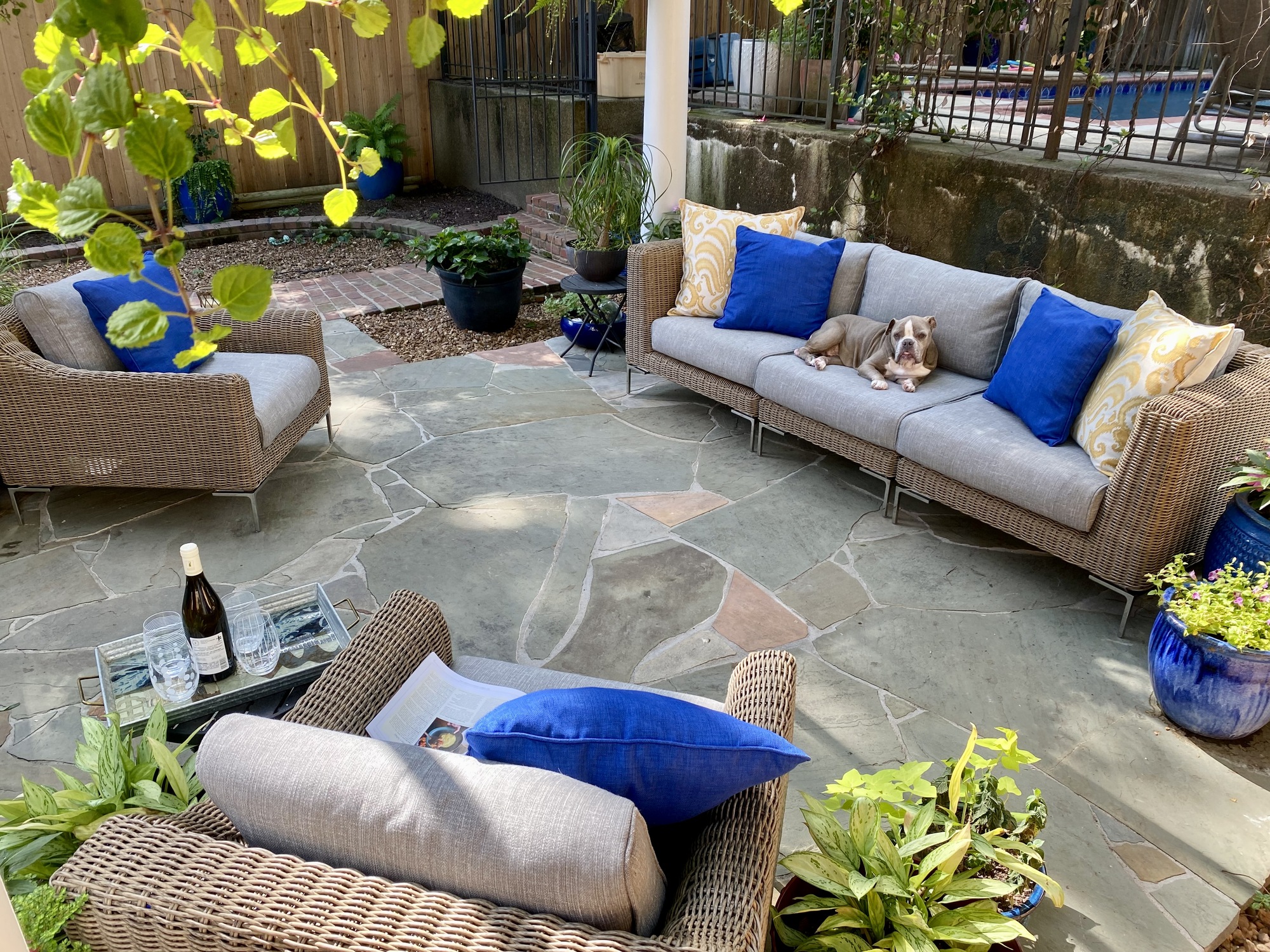 An Animal-Friendly Shaded Patio in Memphis, TN - Photo 3