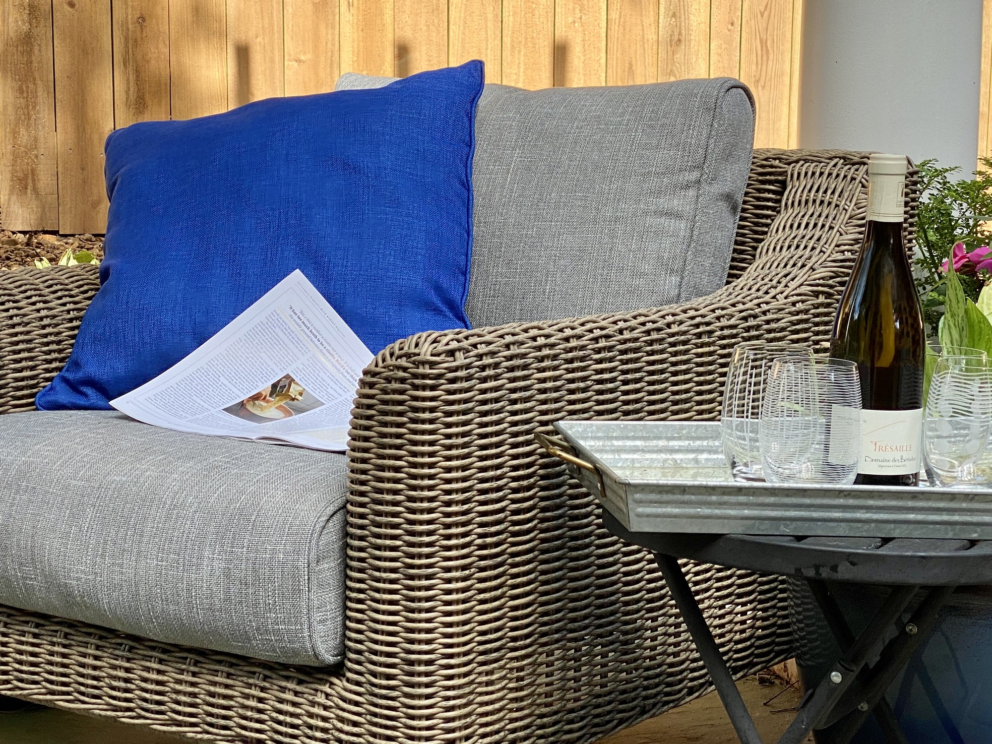 An Animal-Friendly Shaded Patio in Memphis, TN - Photo 5