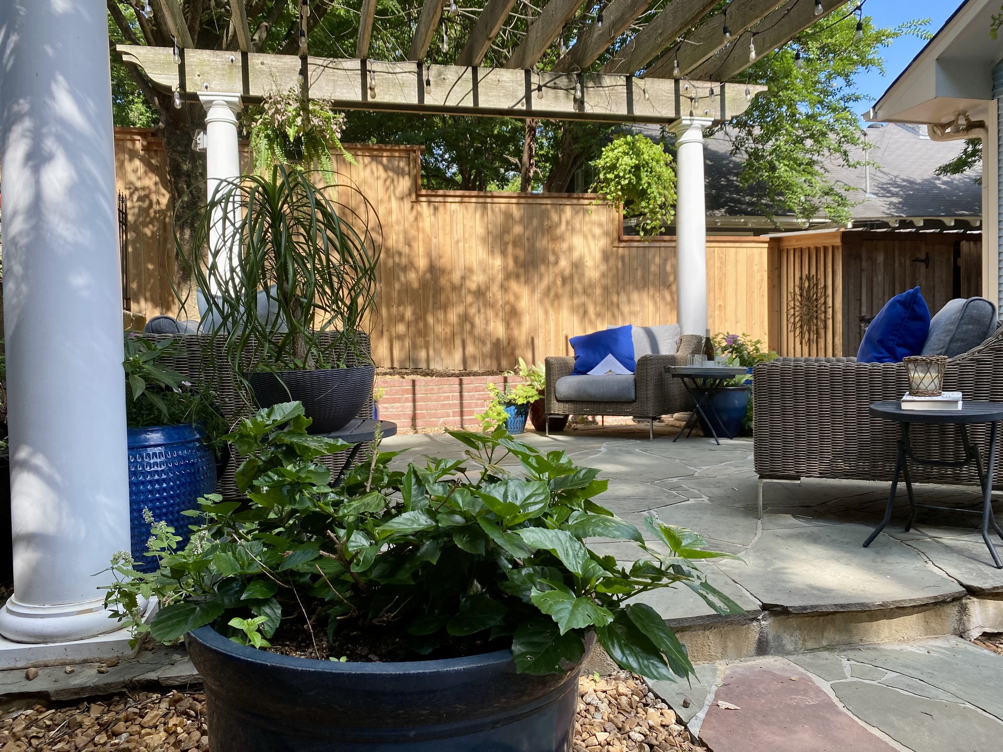 An Animal-Friendly Shaded Patio in Memphis, TN - Photo 8