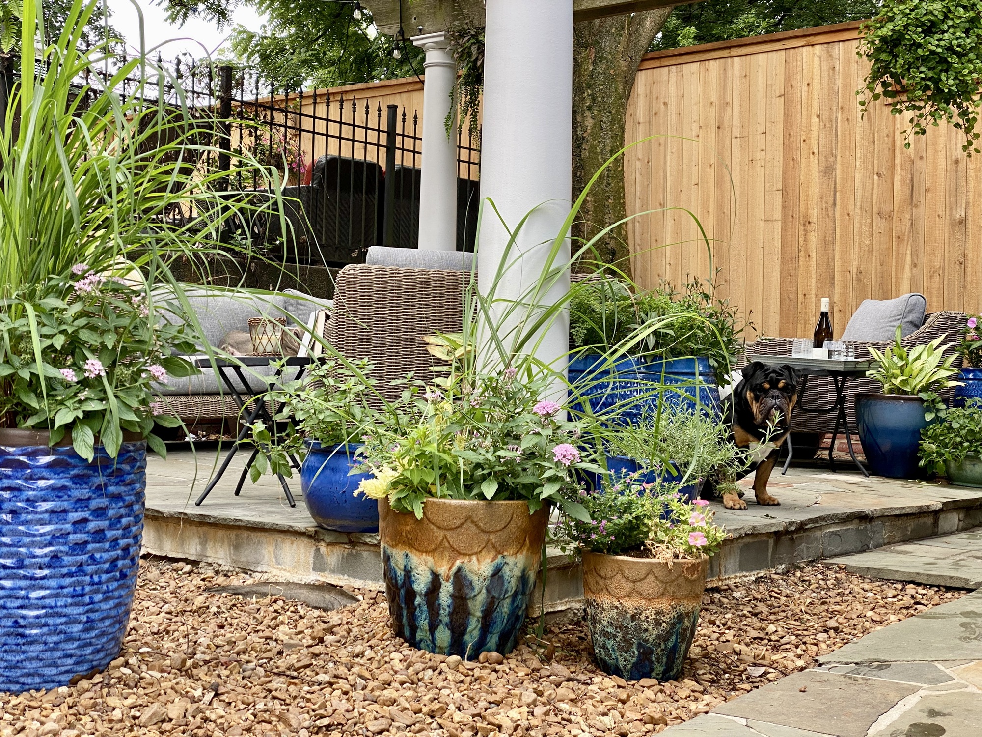 An Animal-Friendly Shaded Patio in Memphis, TN - Photo 10