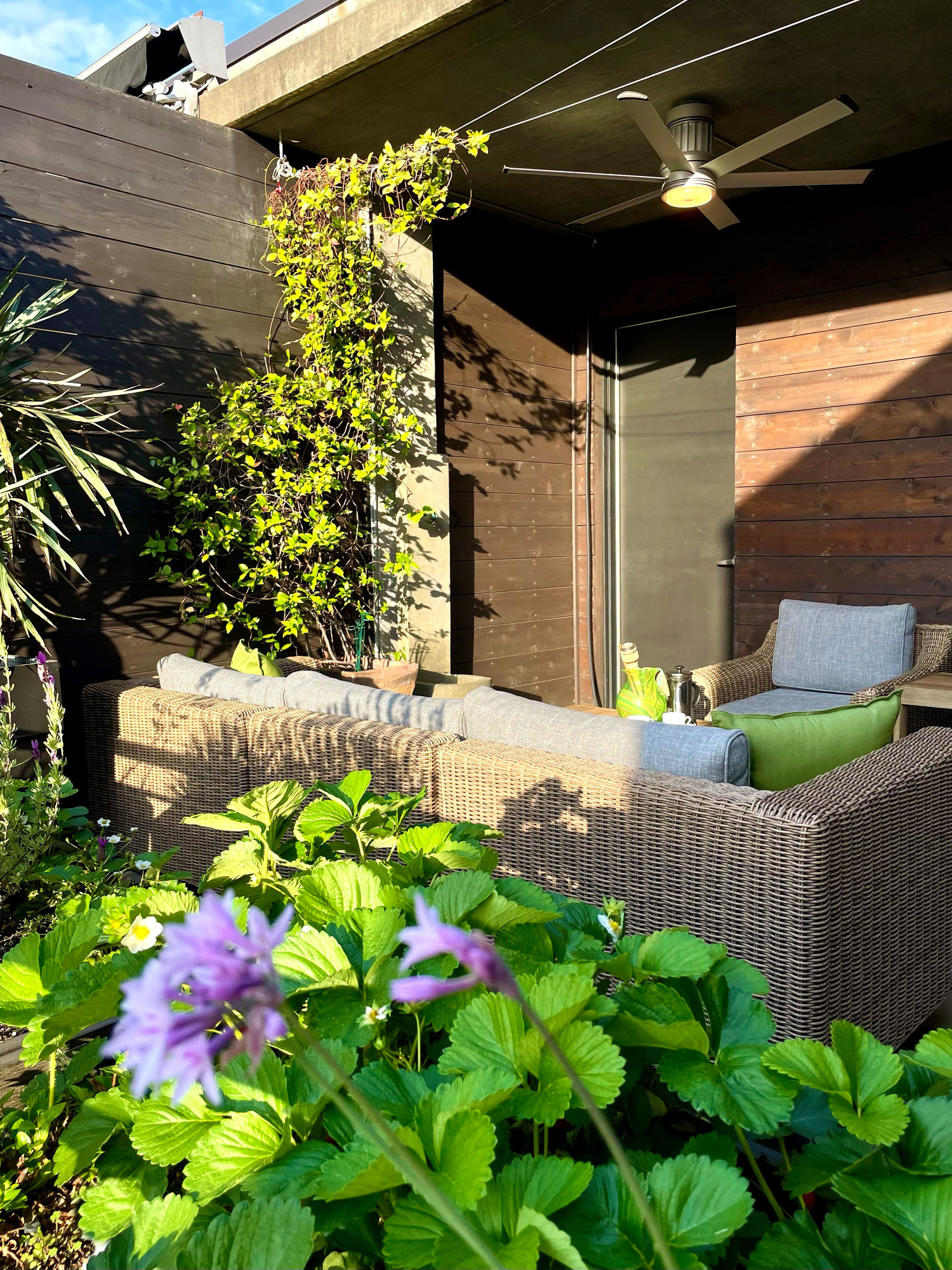 Rooftop Oasis in Atlanta - Gallery photo 4 of 4