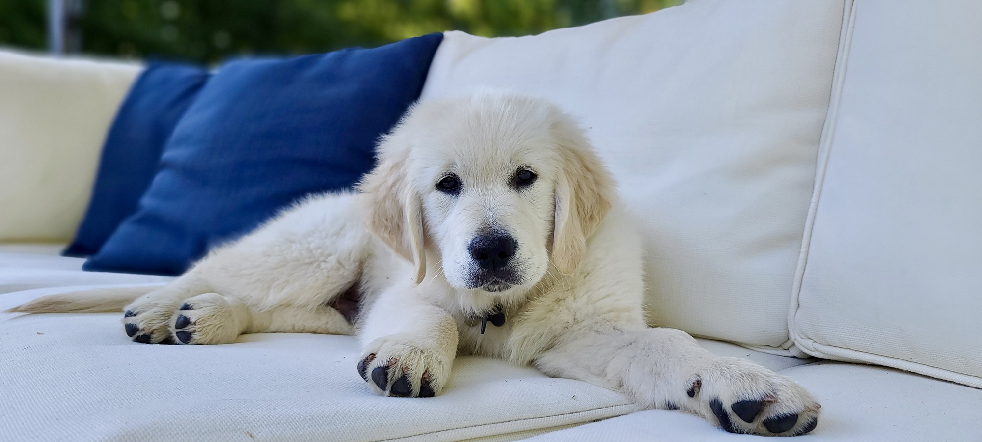 A Zen-Like Poolside Retreat for a Busy Family - Photo 10