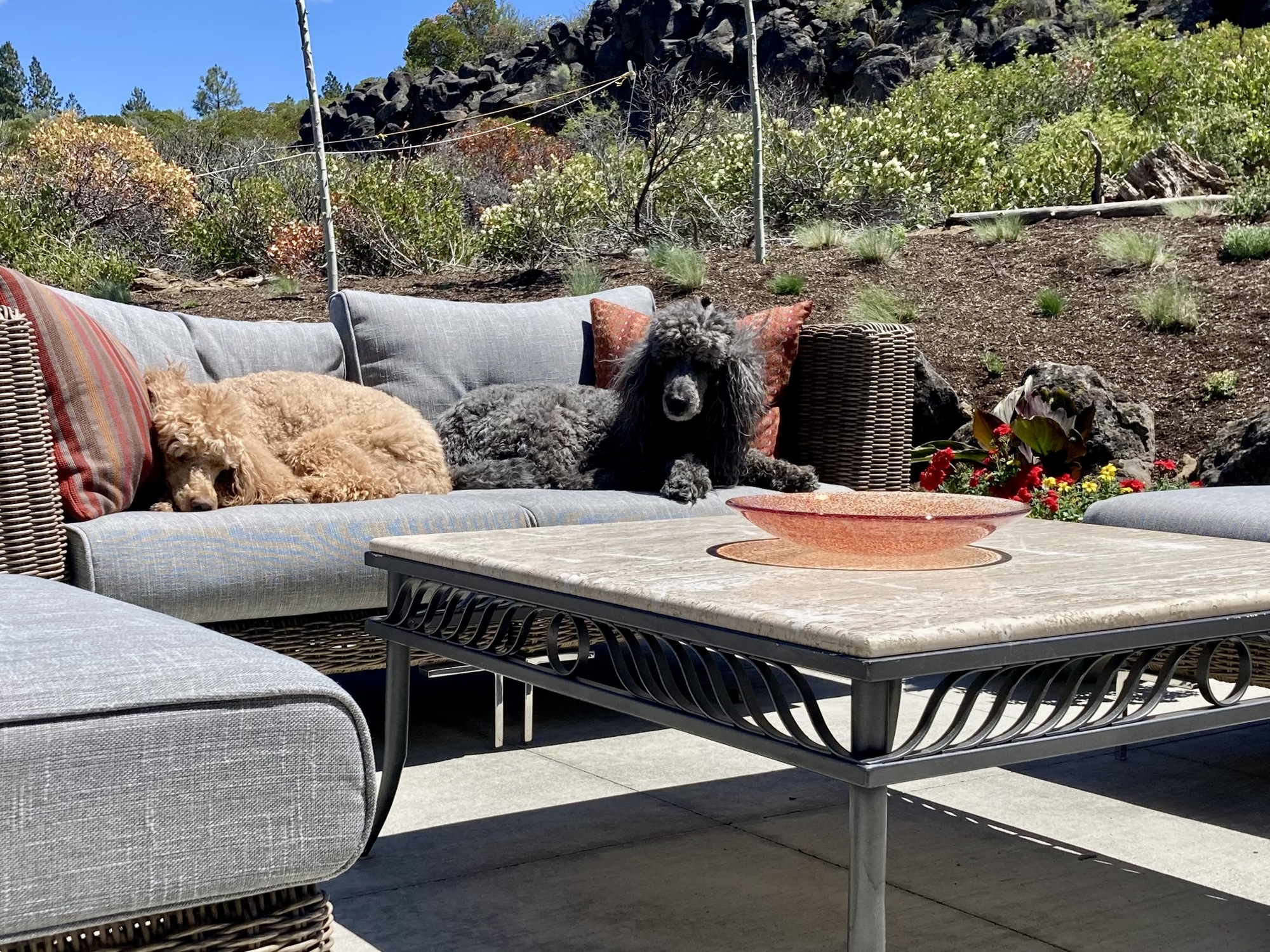 Two Outdoor Enthusiasts’ Modern Farmhouse in Bend, Oregon - Photo 4