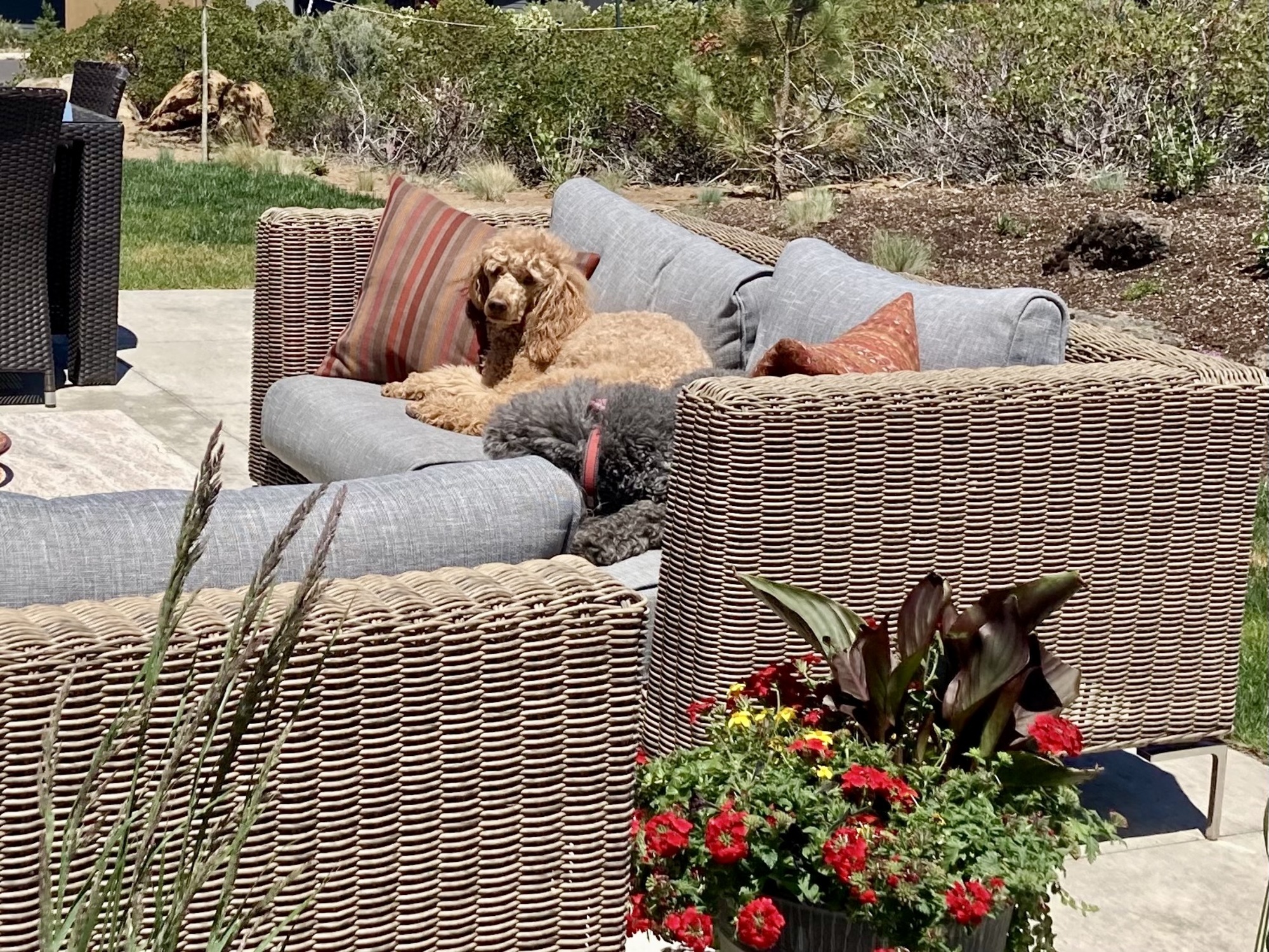 Two Outdoor Enthusiasts’ Modern Farmhouse in Bend, Oregon - Photo 8