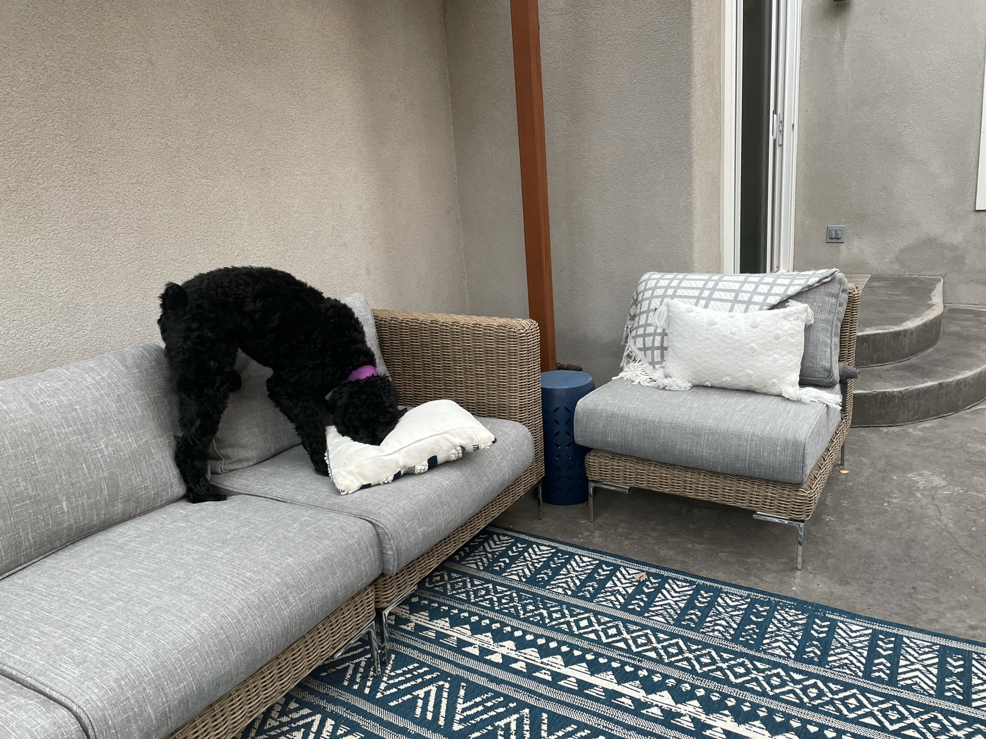 A Coloradan Family’s Outdoor Dining Room - Photo 4