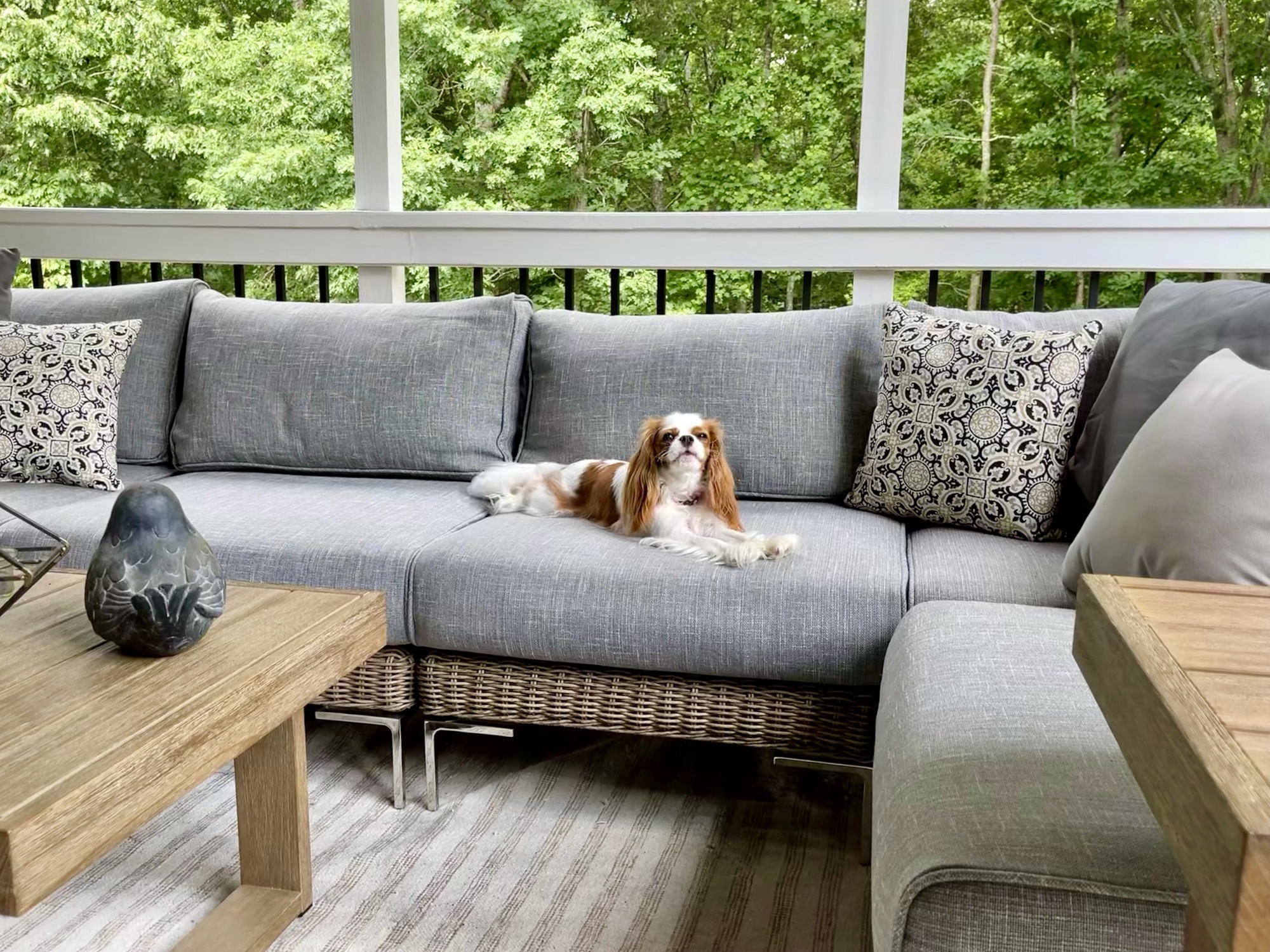 A Tennis Lover’s Mid-Century–Style Poolside Deck in Legacy Park - Photo 2