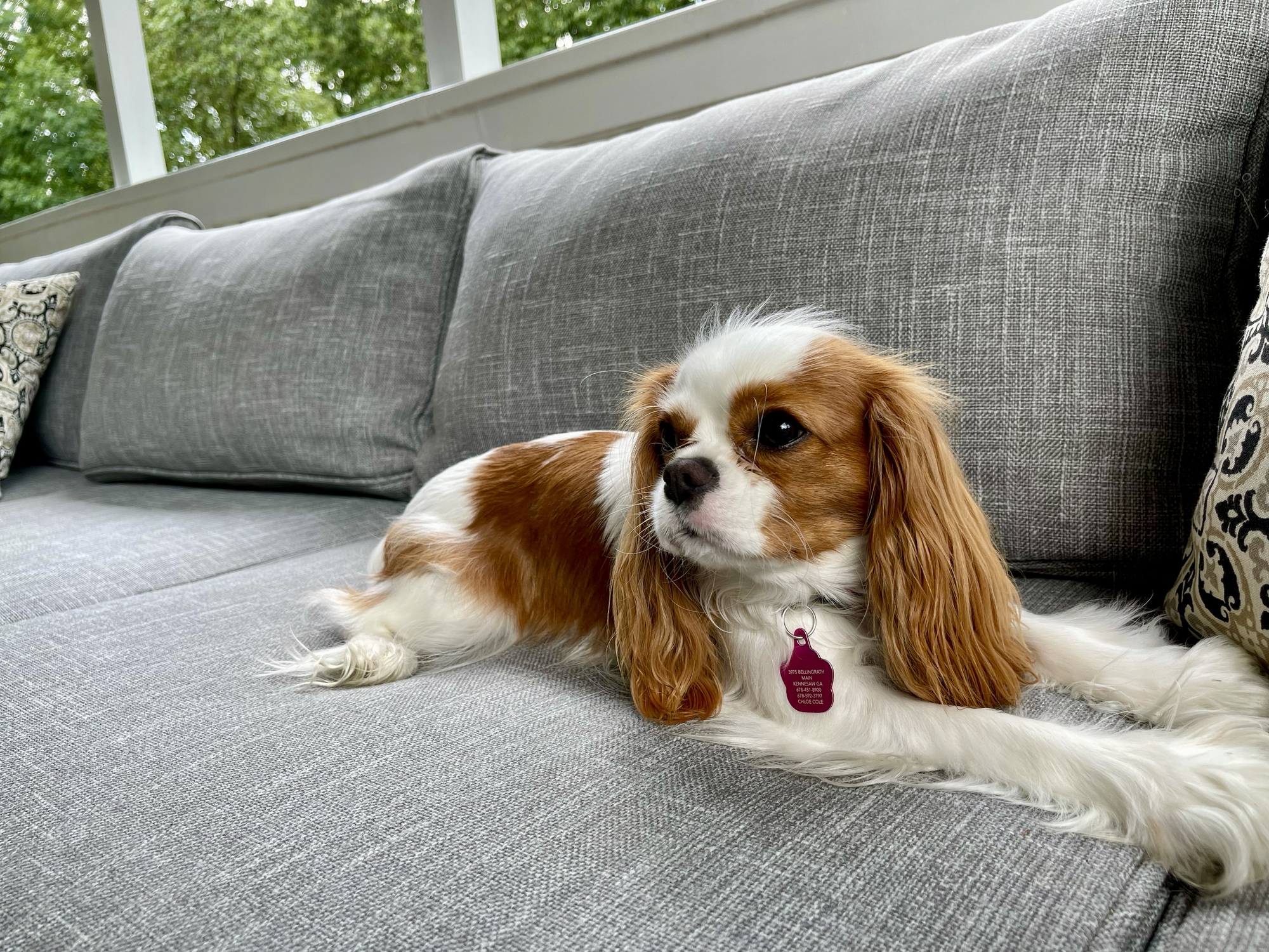 A Tennis Lover’s Mid-Century–Style Poolside Deck in Legacy Park - Photo 7