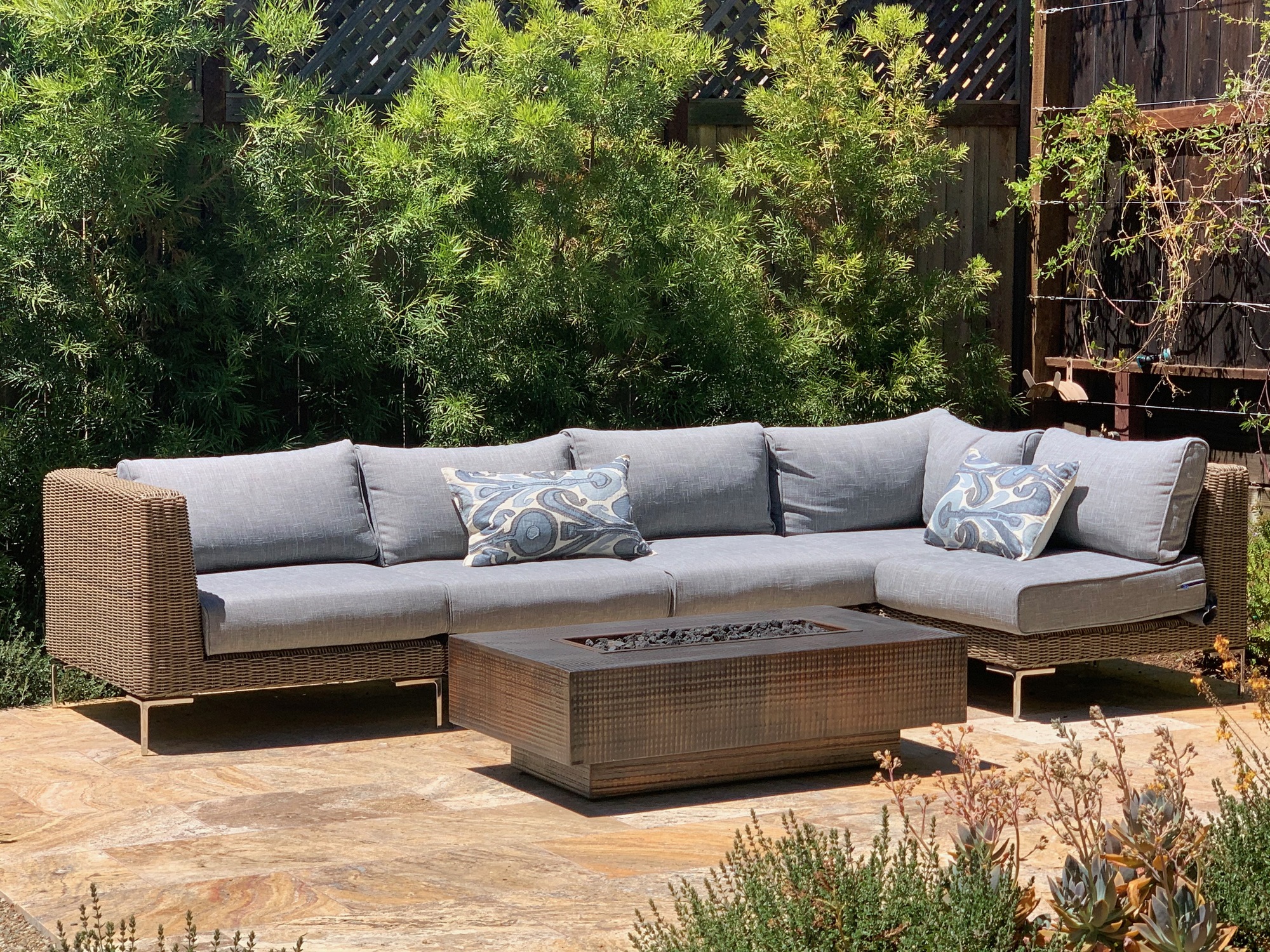 A Social Worker’s Floral Wonderland in San Rafael, CA - Photo 2