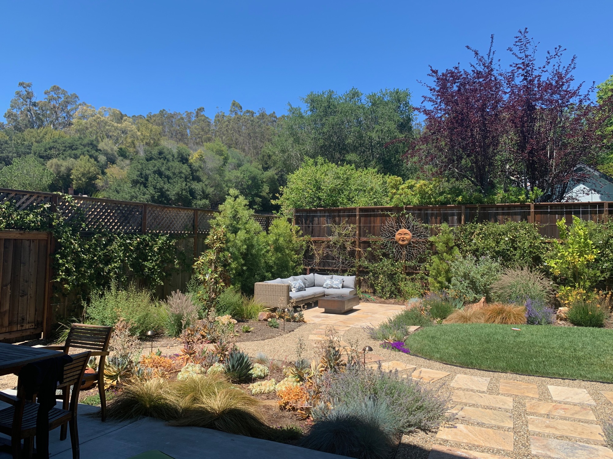 A Social Worker’s Floral Wonderland in San Rafael, CA - Photo 3